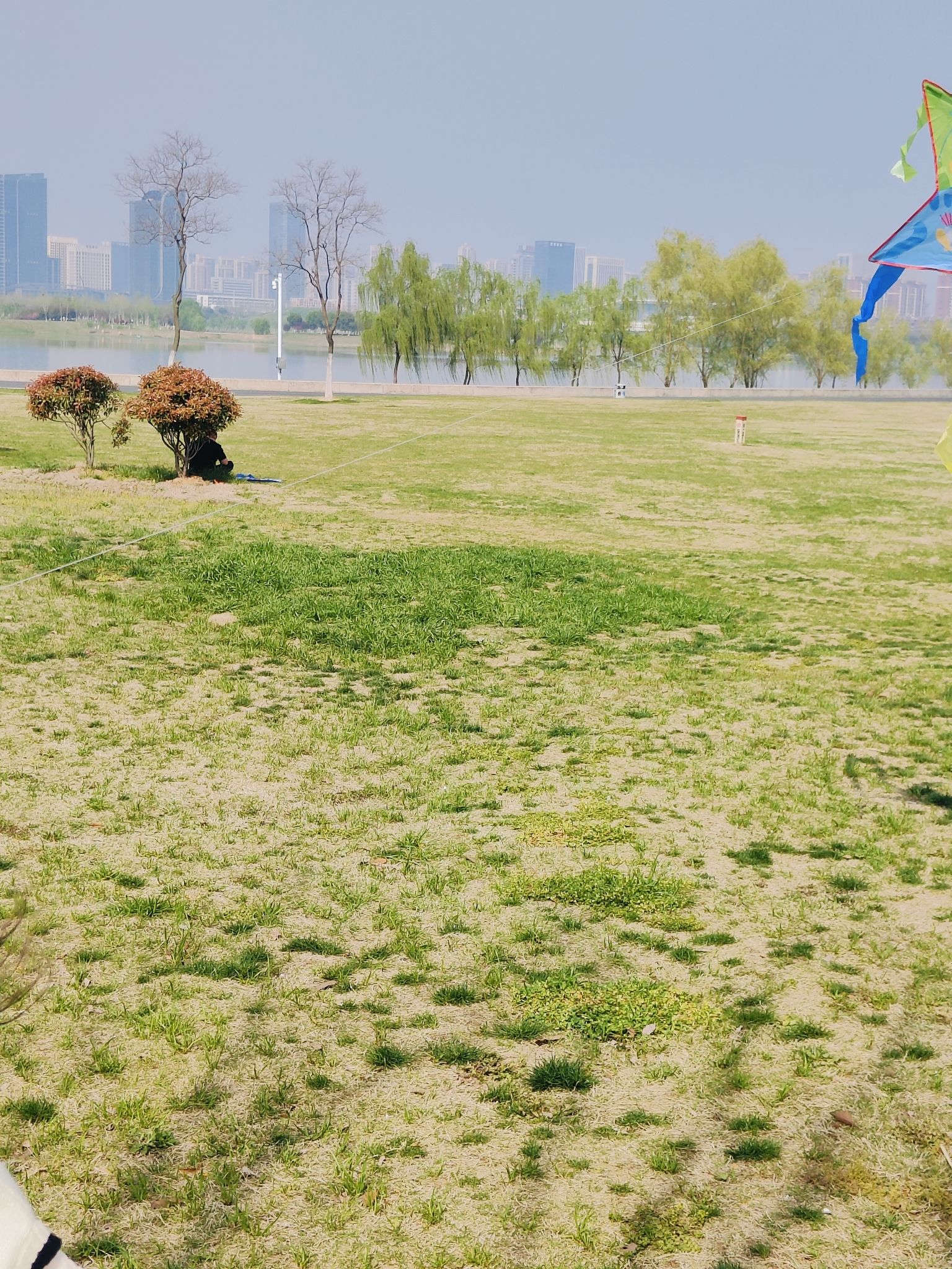 蜀西湖公园旅行图片 2