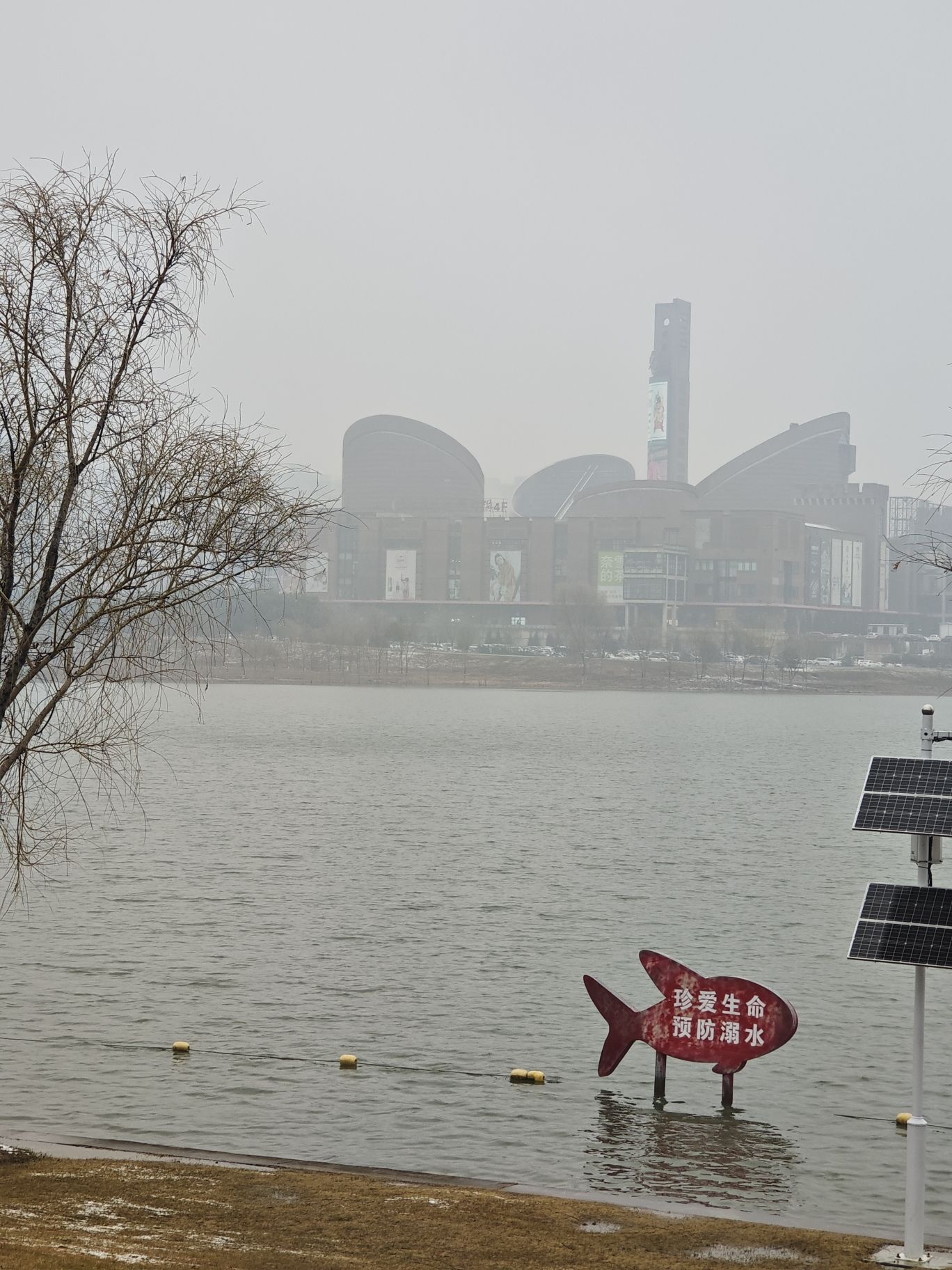 蜀西湖公园旅行图片 3