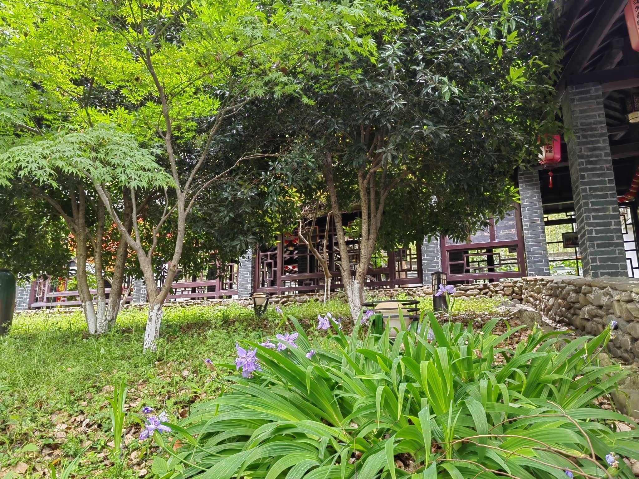 海棠小镇旅行图片 1