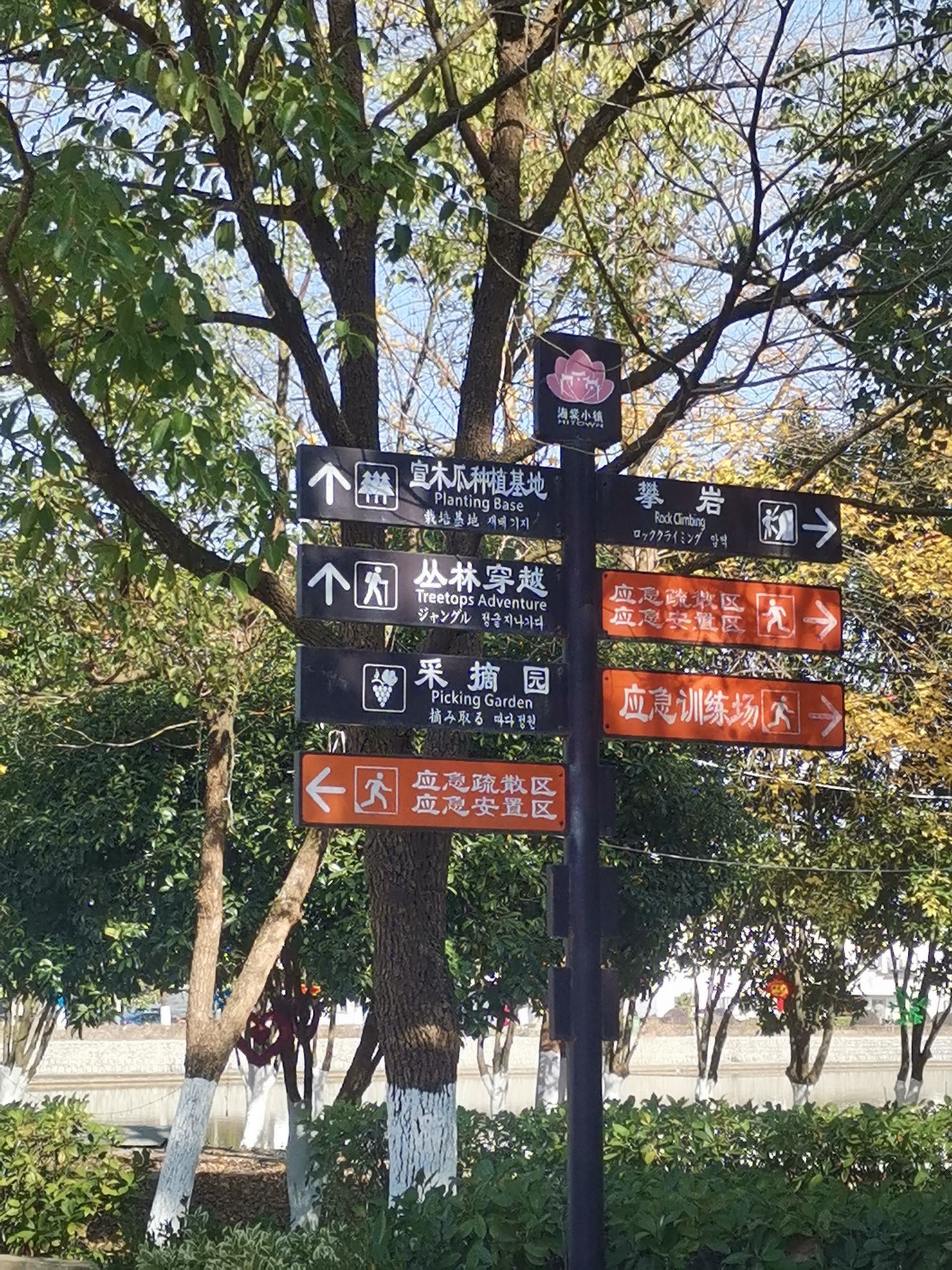 海棠小镇旅行图片 3
