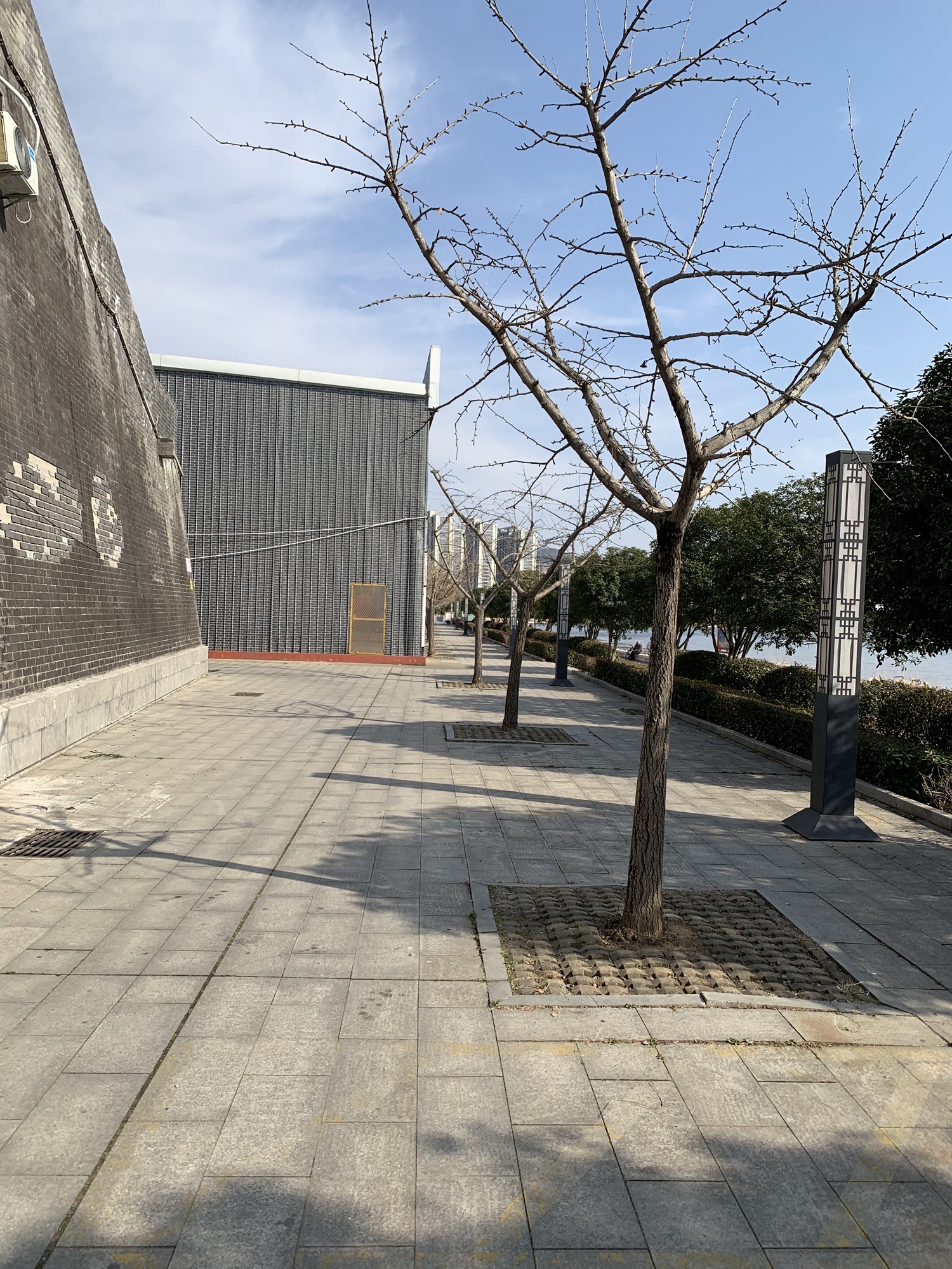 琵琶台公园旅行图片 2