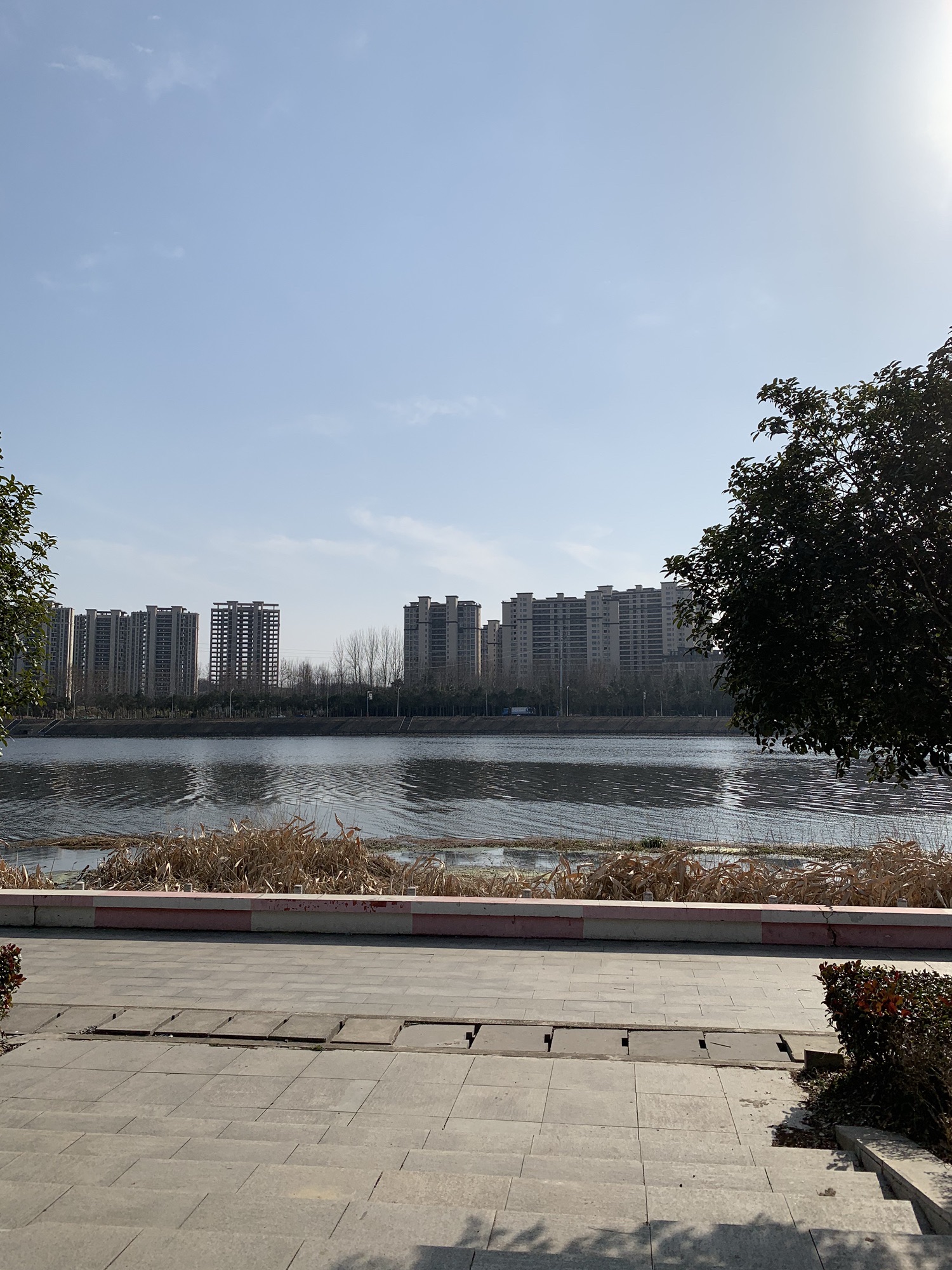 琵琶台公园旅行图片 1