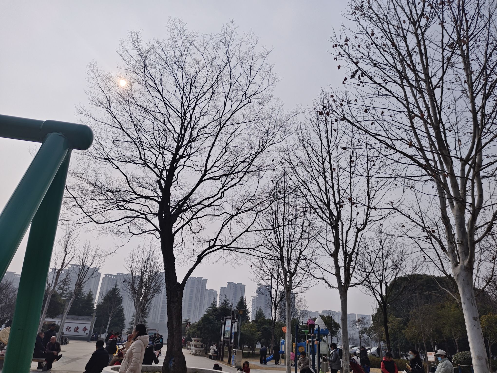 琵琶台公园旅行图片 1