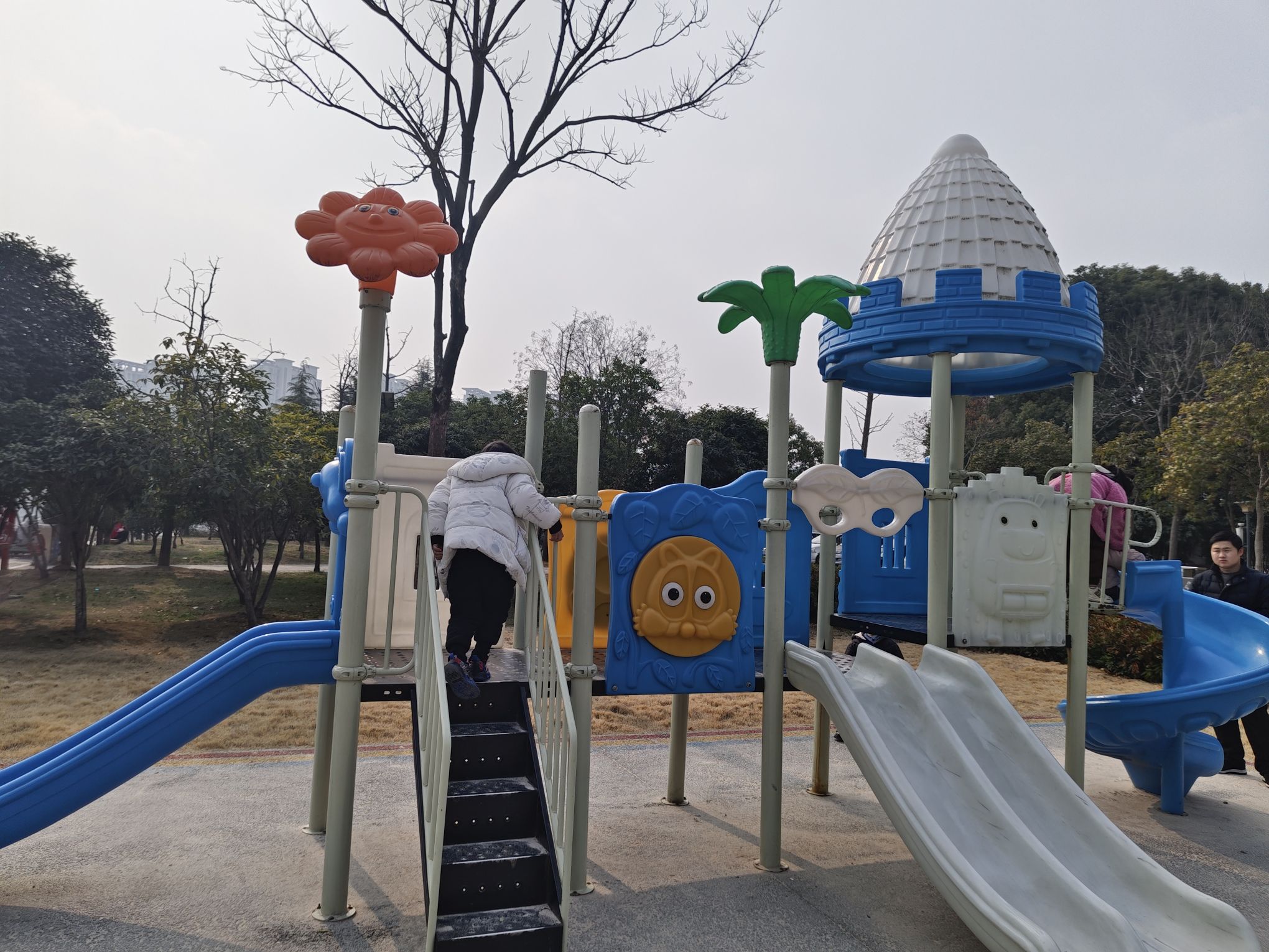 琵琶台公园旅行图片 2