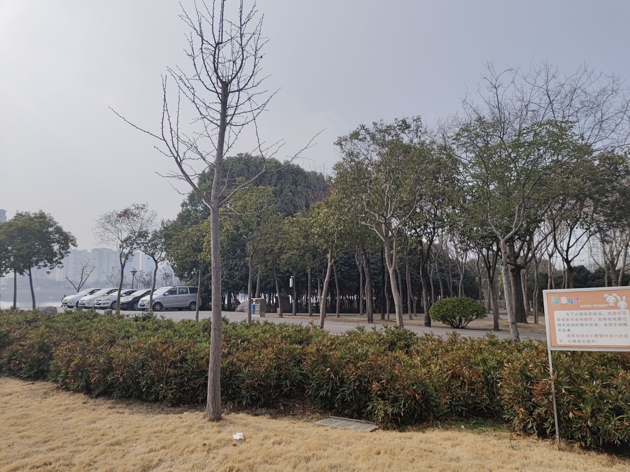 琵琶台公园旅行图片 3