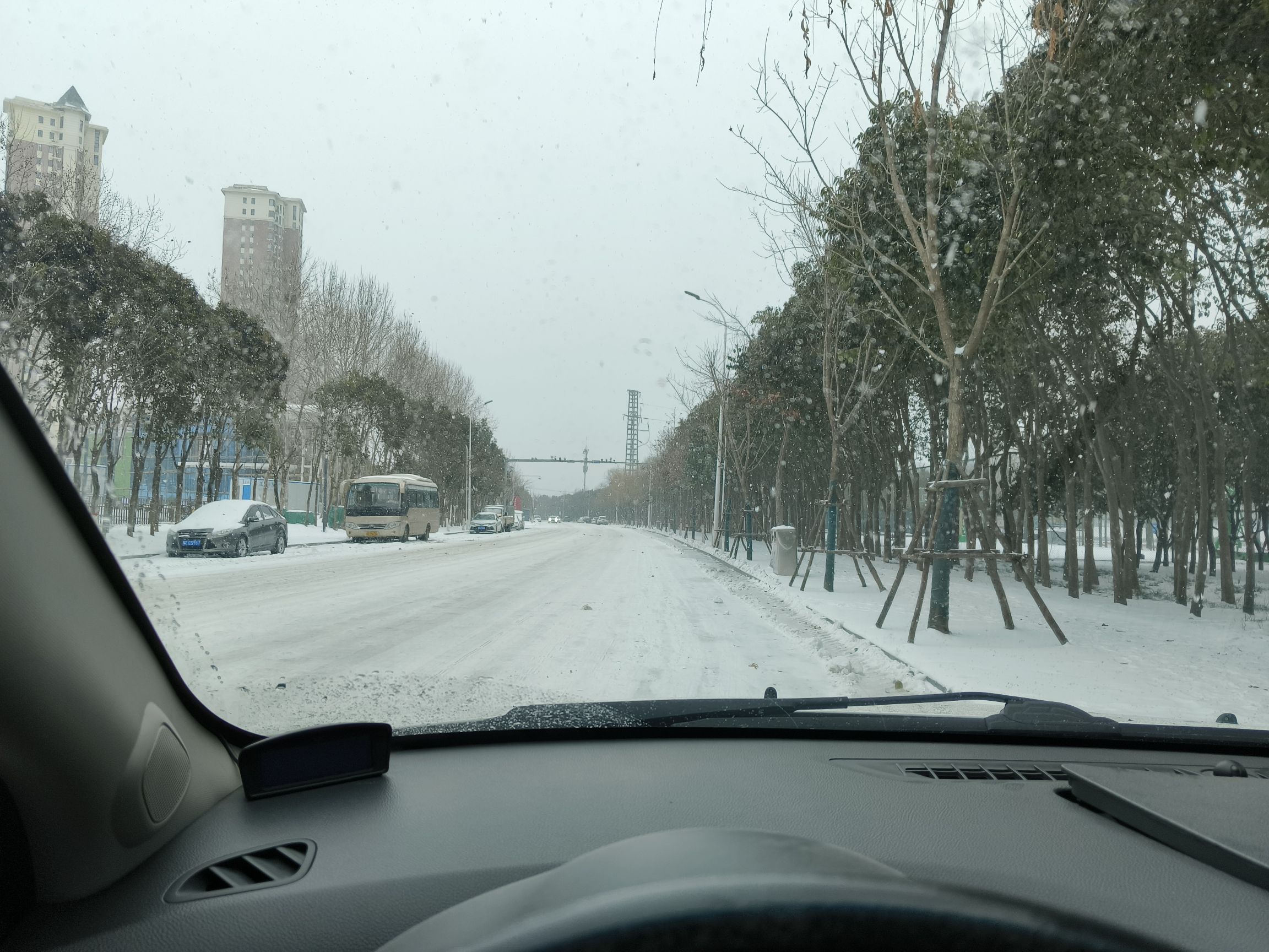 琵琶台公园旅行图片 3