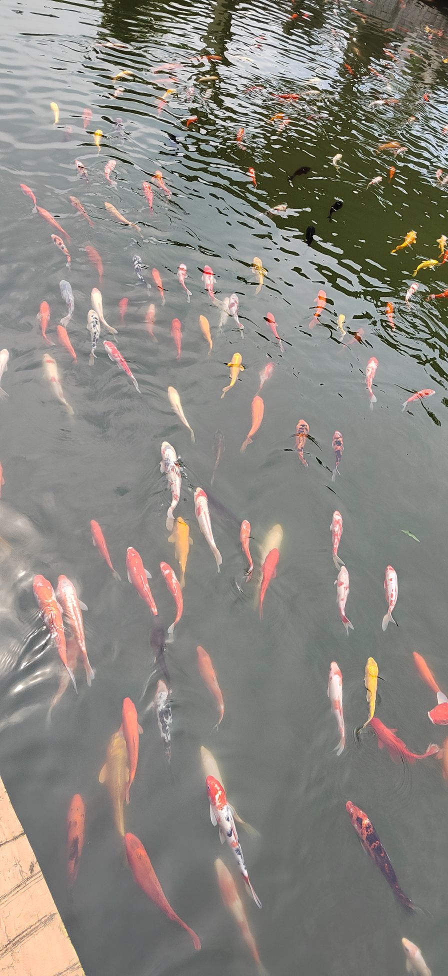 中国兰陵压油沟风景区旅行图片 2