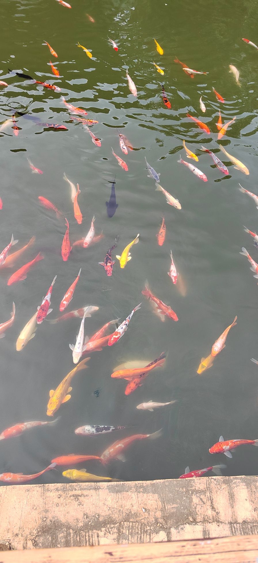 中国兰陵压油沟风景区旅行图片 3
