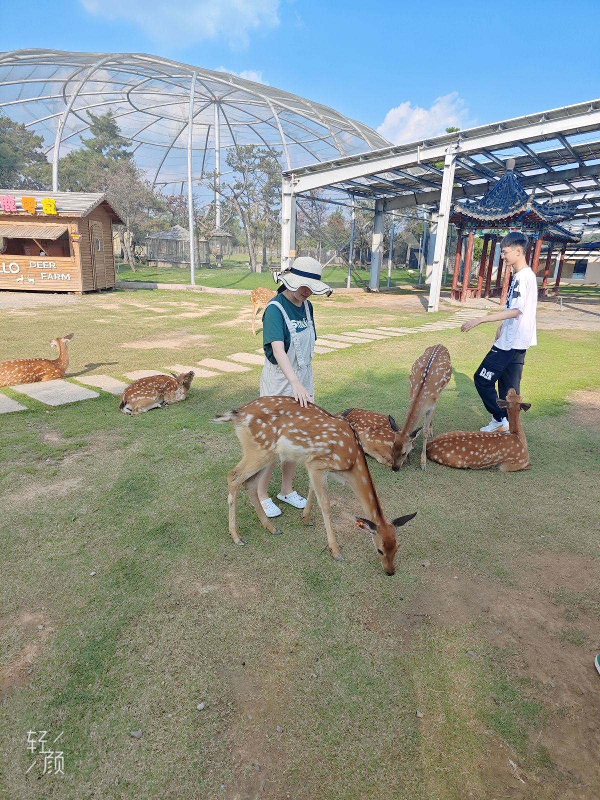 中国兰陵压油沟风景区旅行图片 1