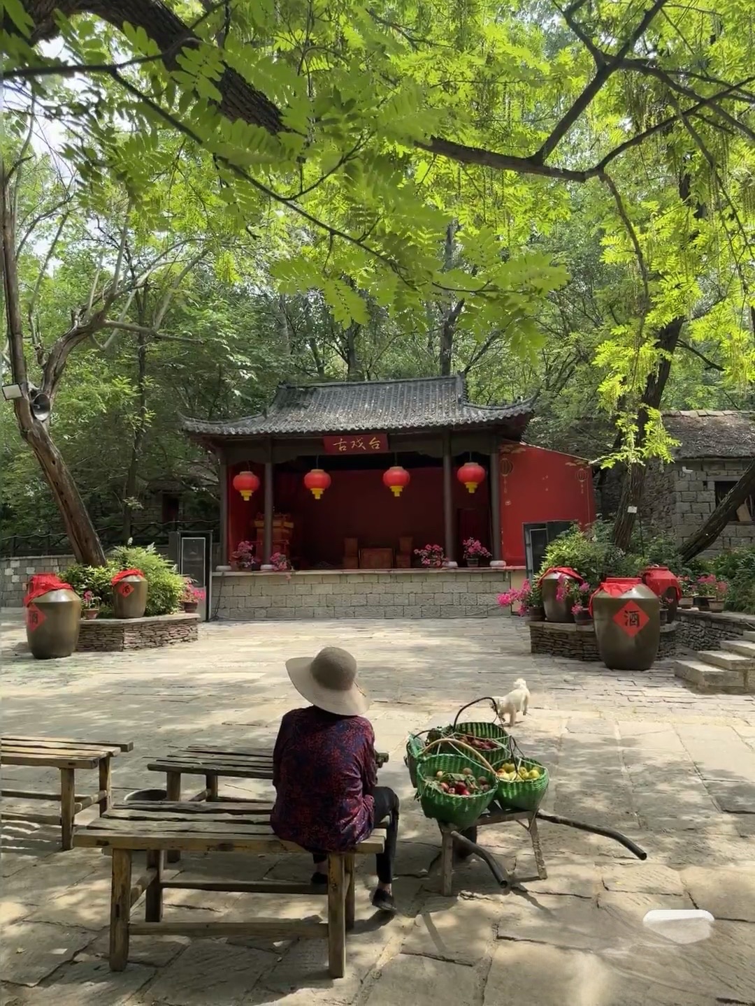 中国兰陵压油沟风景区旅行图片 1