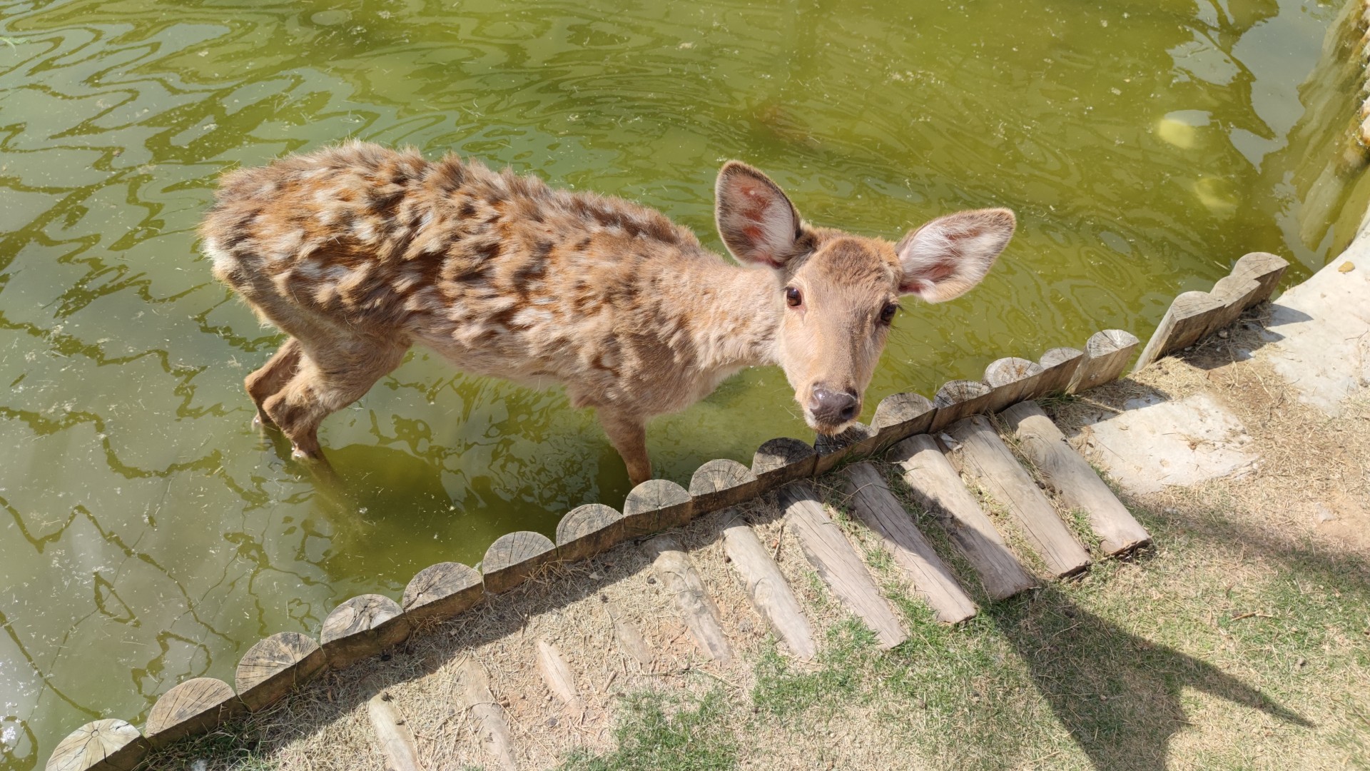 中国兰陵压油沟风景区旅行图片 1