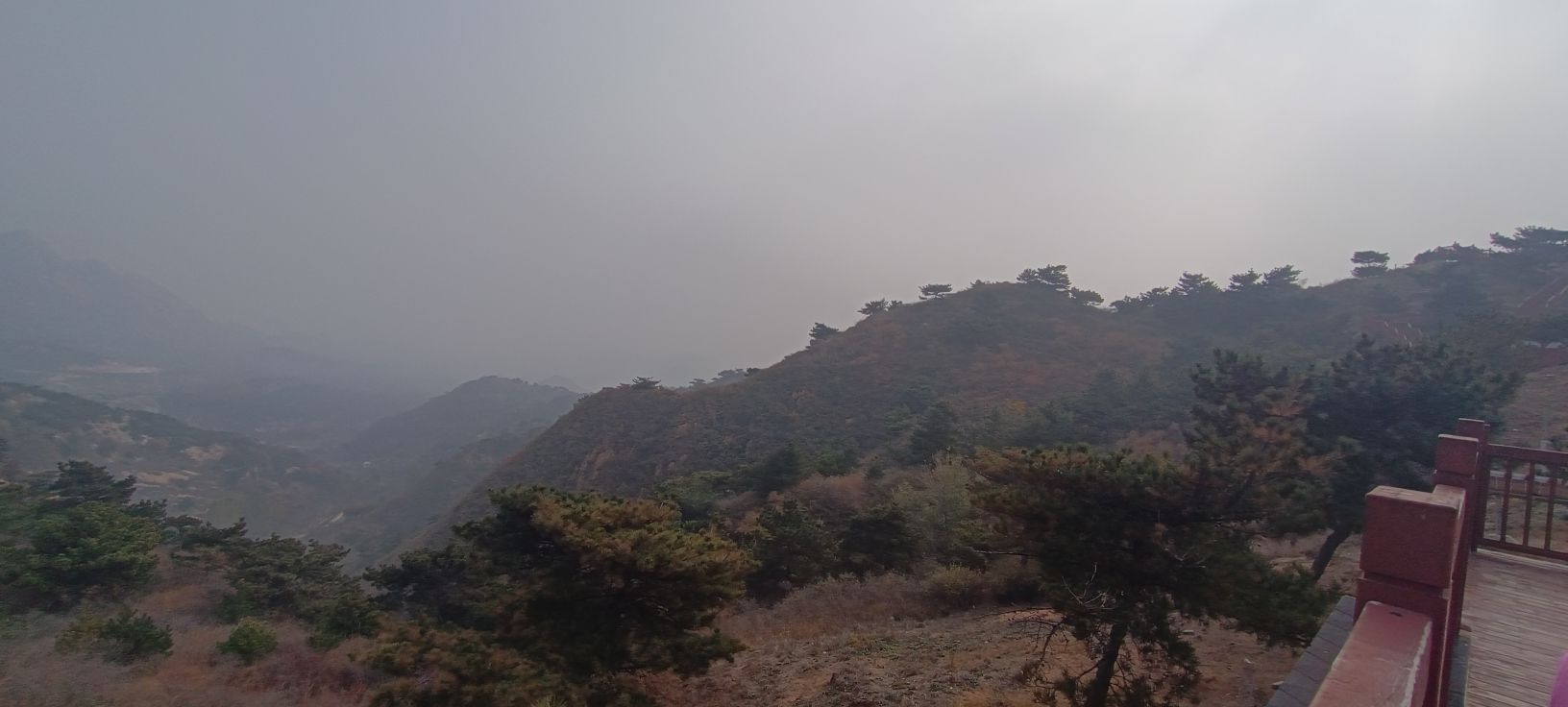 兔耳山旅行图片 1