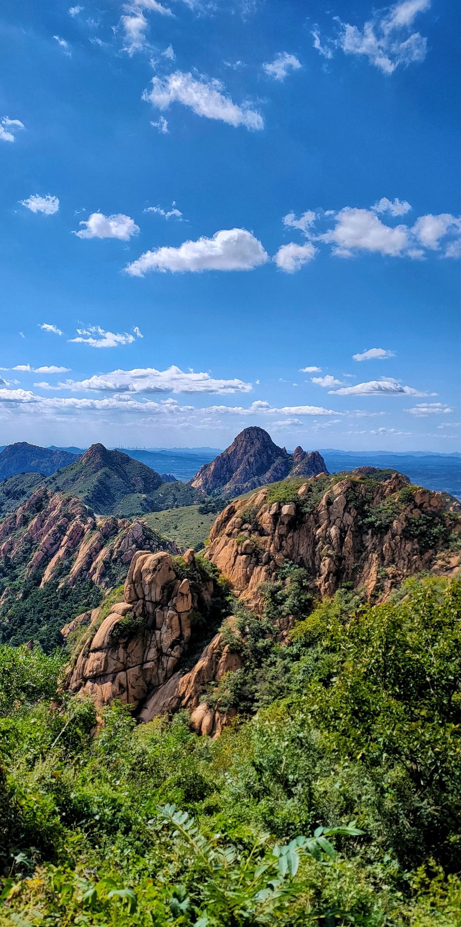兔耳山旅行图片 2