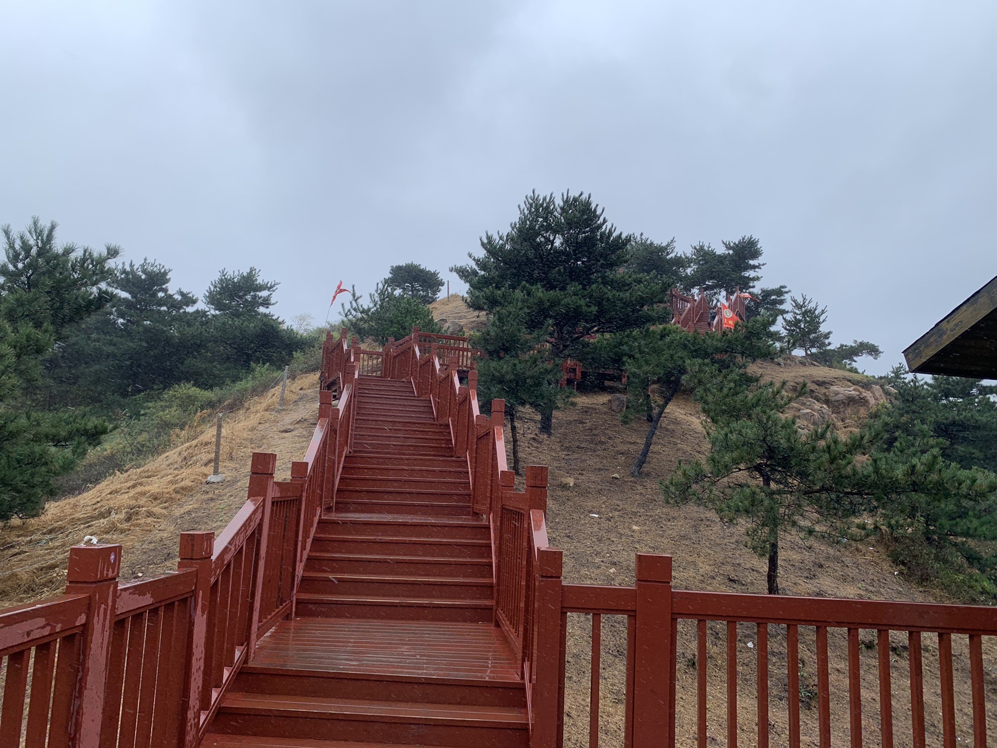 兔耳山旅行图片 2