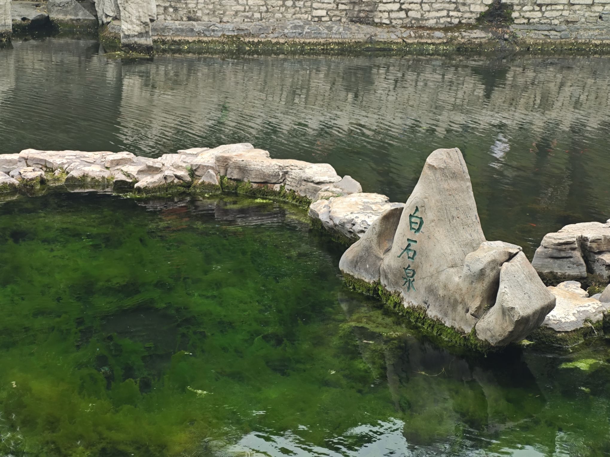 济南市环城公园-白石泉