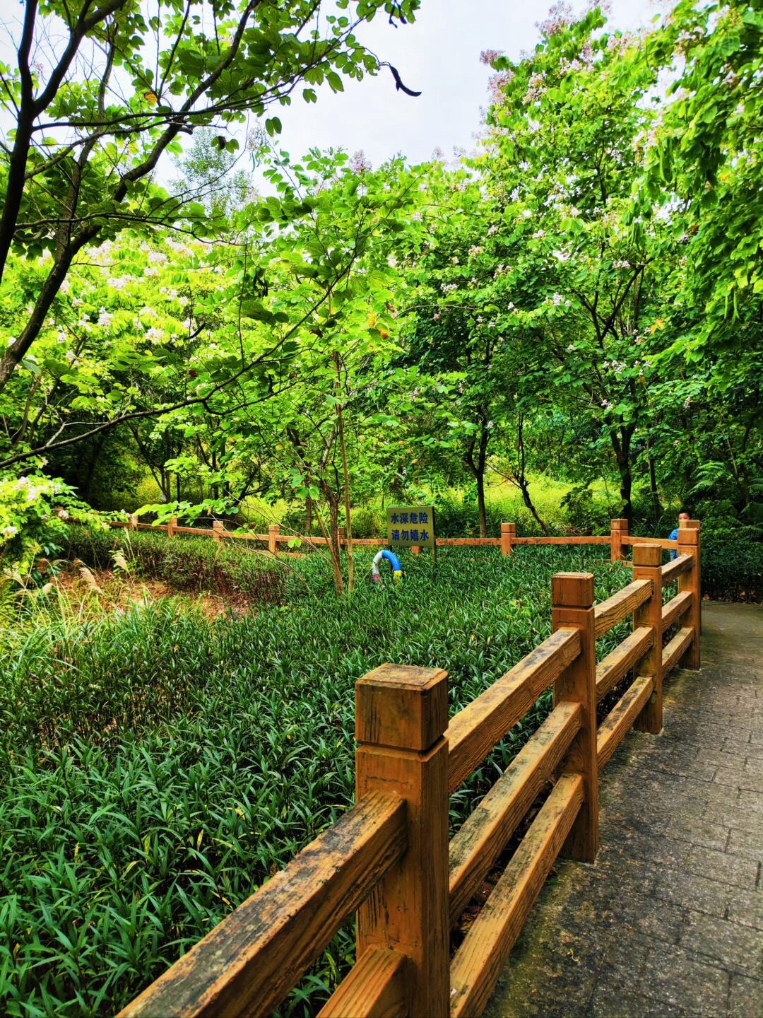 南蓬山森林公园旅行图片 2