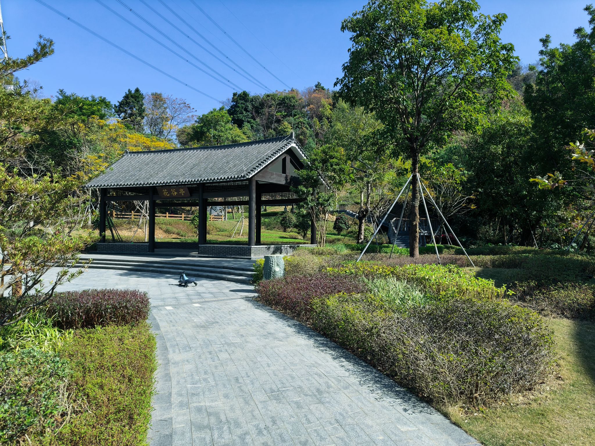 南蓬山森林公园旅行图片 3