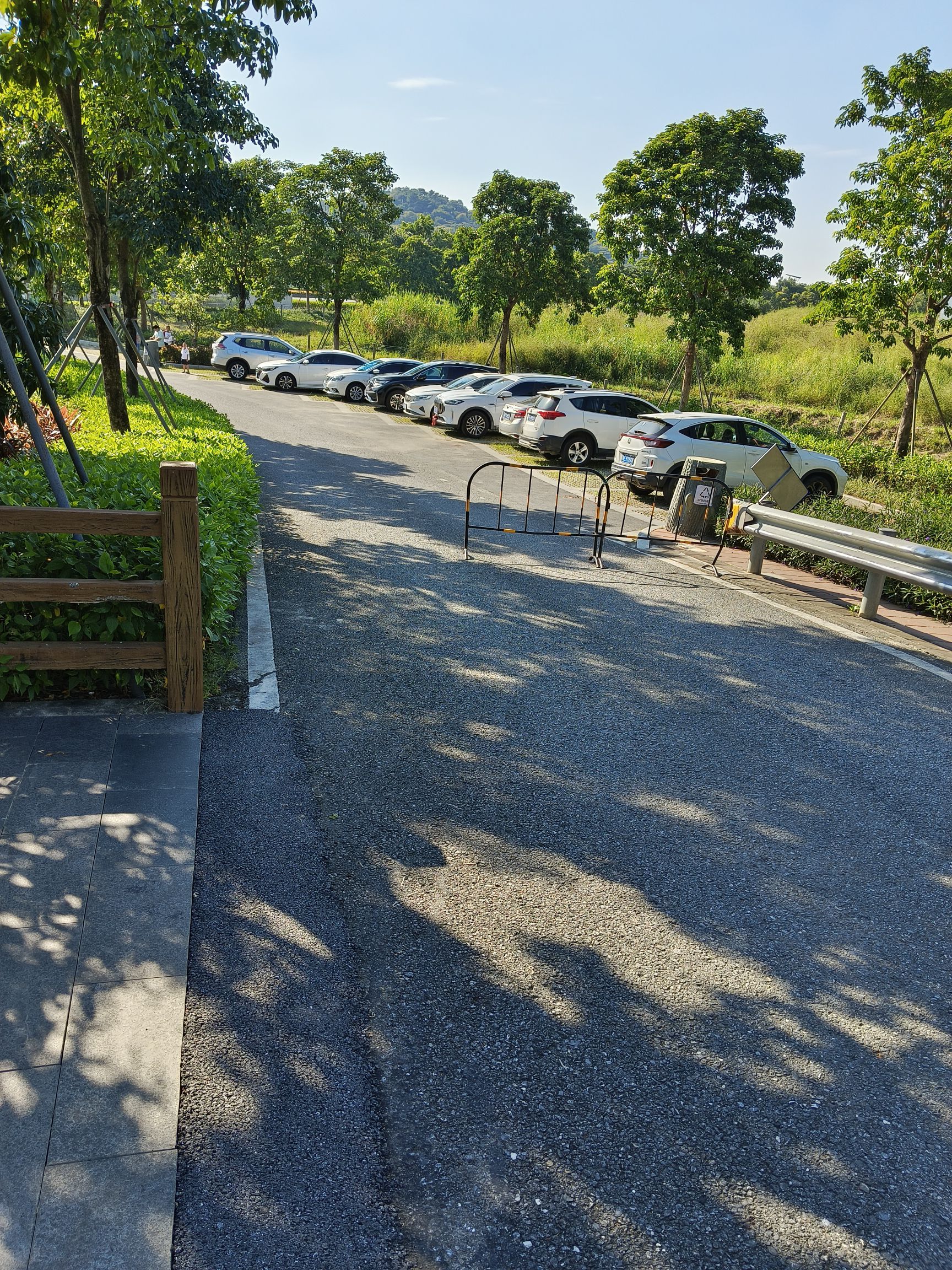 南蓬山森林公园旅行图片 3