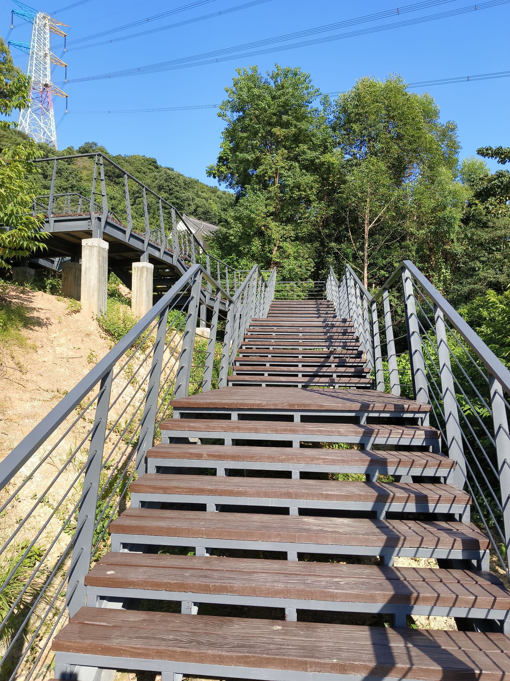 南蓬山森林公园旅行图片 2