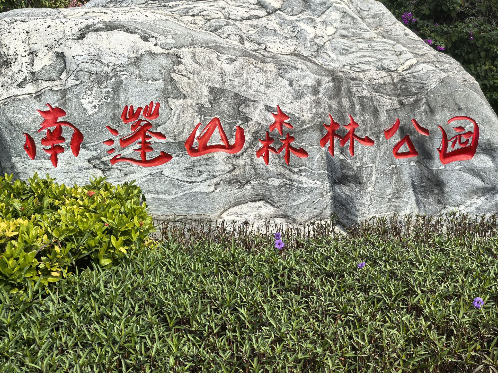 南蓬山森林公园旅行图片 1