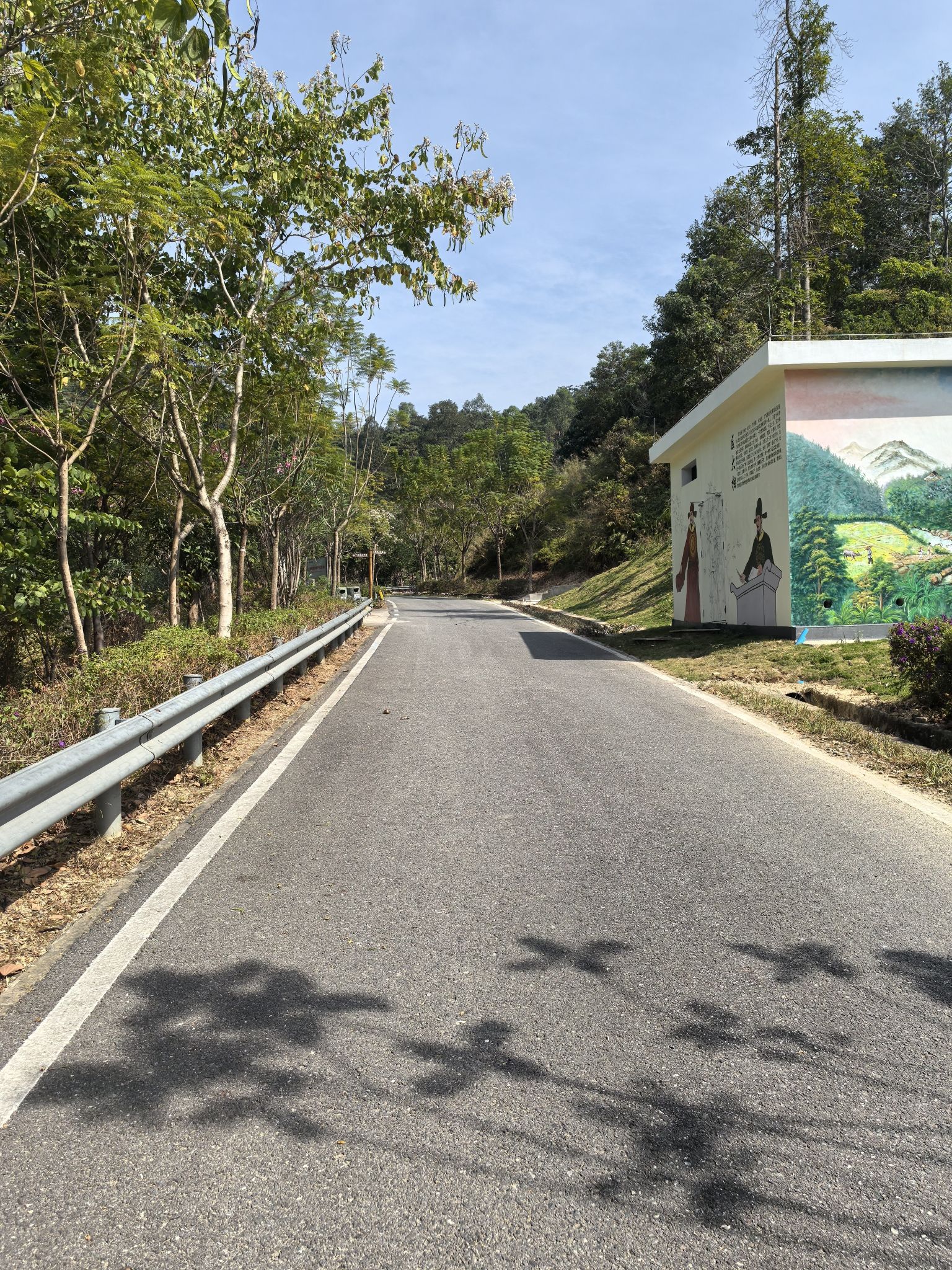 南蓬山森林公园旅行图片 2