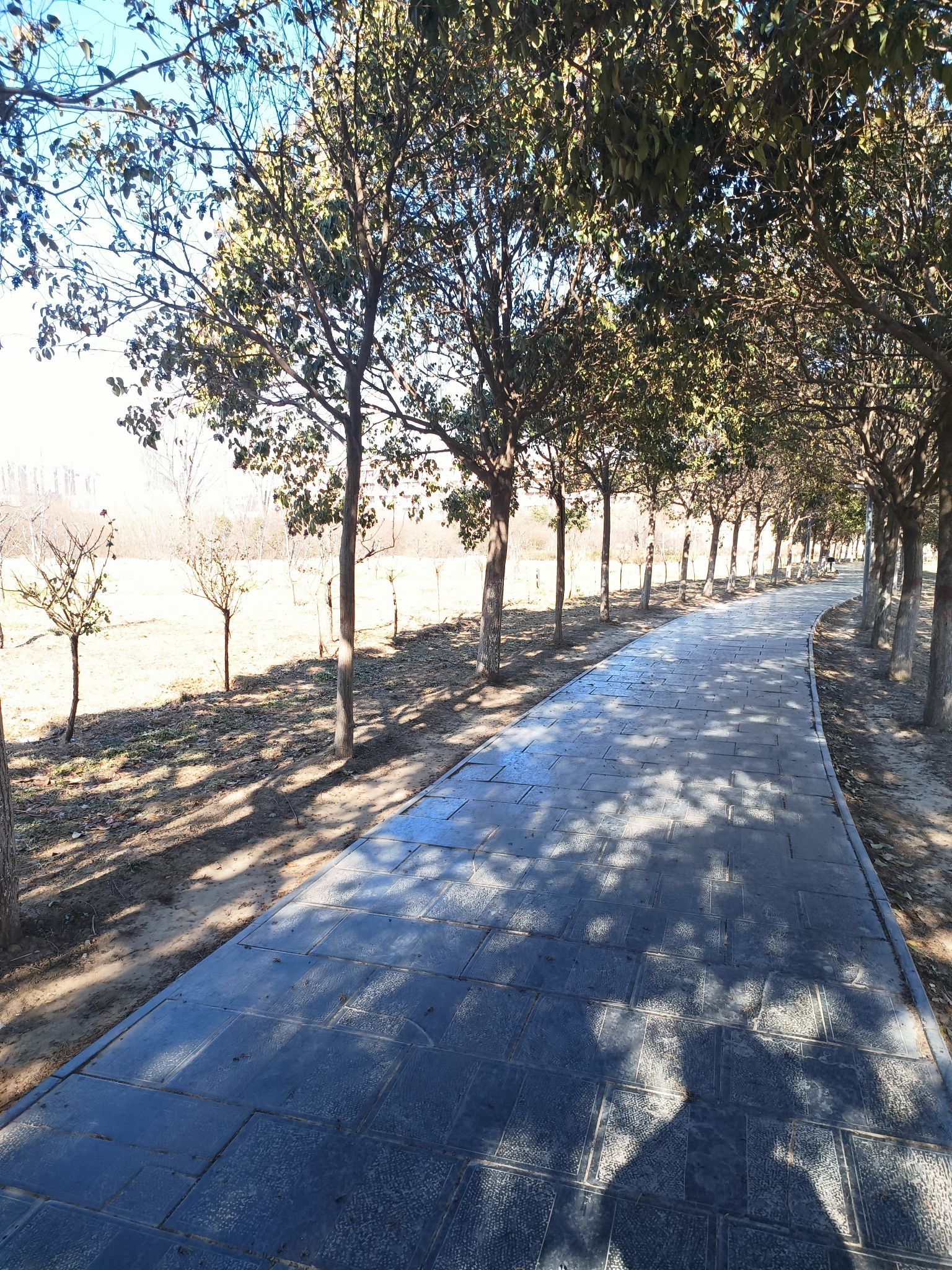 蓝天·芝麻小镇旅行图片 3
