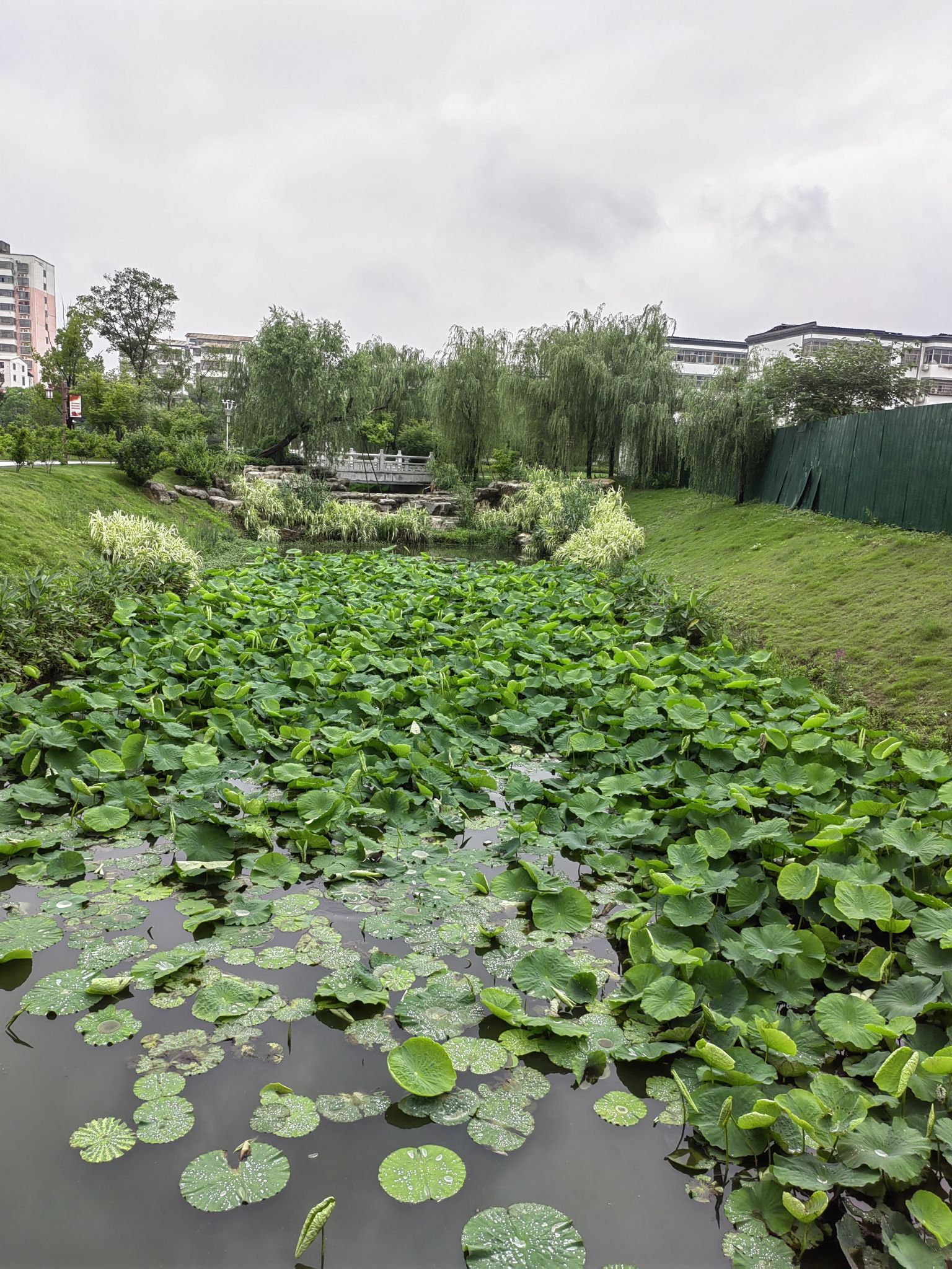 蓝天·芝麻小镇旅行图片 2