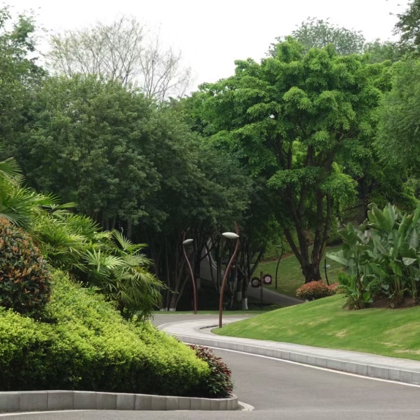香河幸福公园旅行图片 2