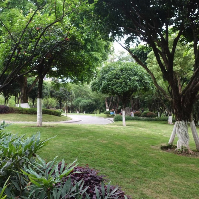 香河幸福公园旅行图片 1
