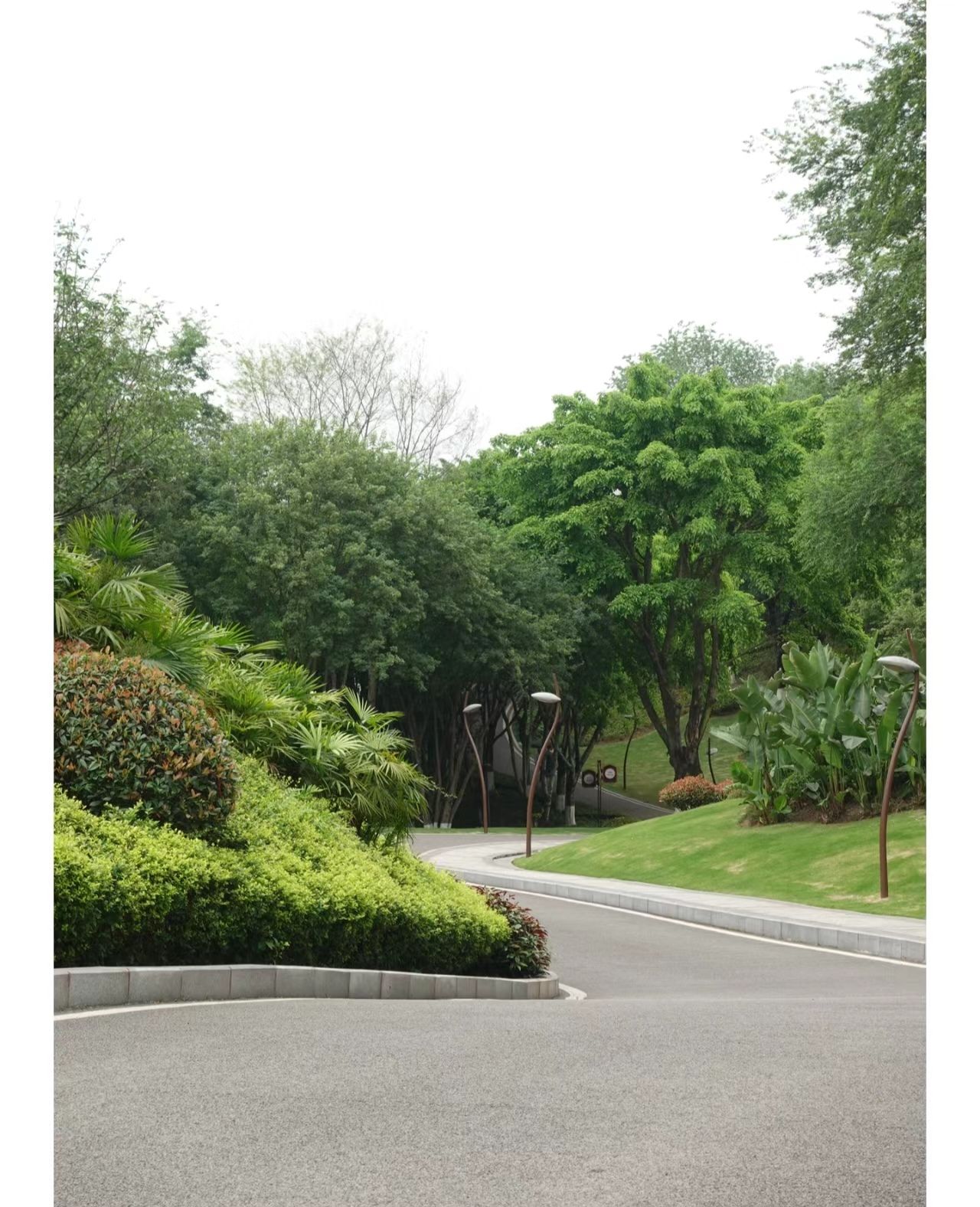 香河幸福公园旅行图片 1