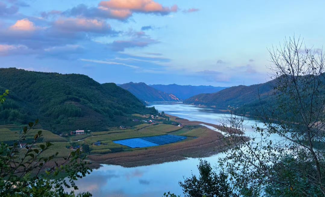 振江镇绿江村景点旅行图片 2