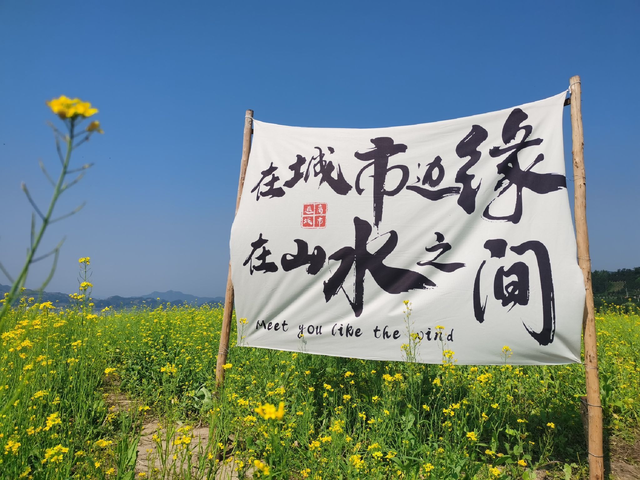 振江镇绿江村景点旅行图片 3