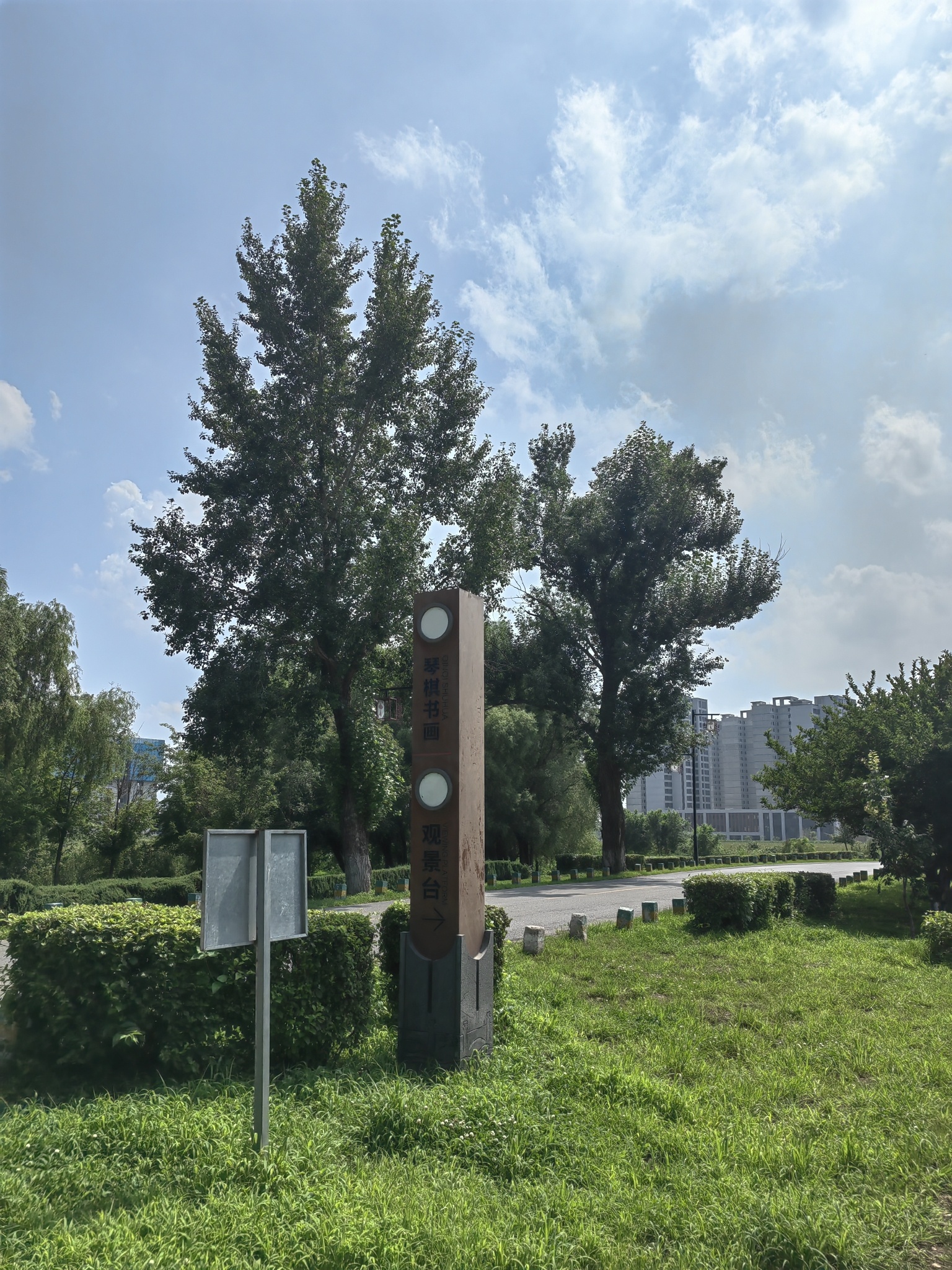 小鲸鱼岛旅行图片 1