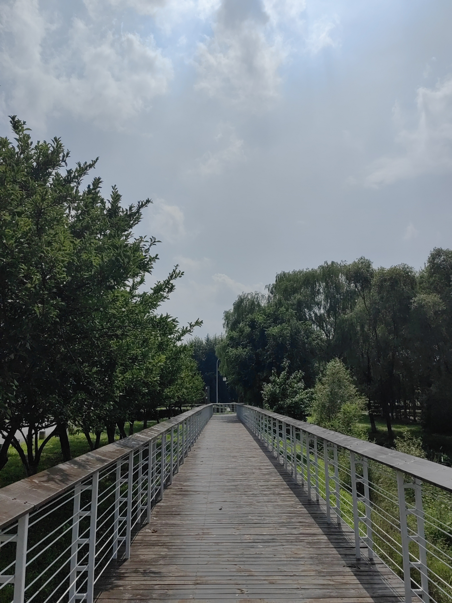 小鲸鱼岛旅行图片 2