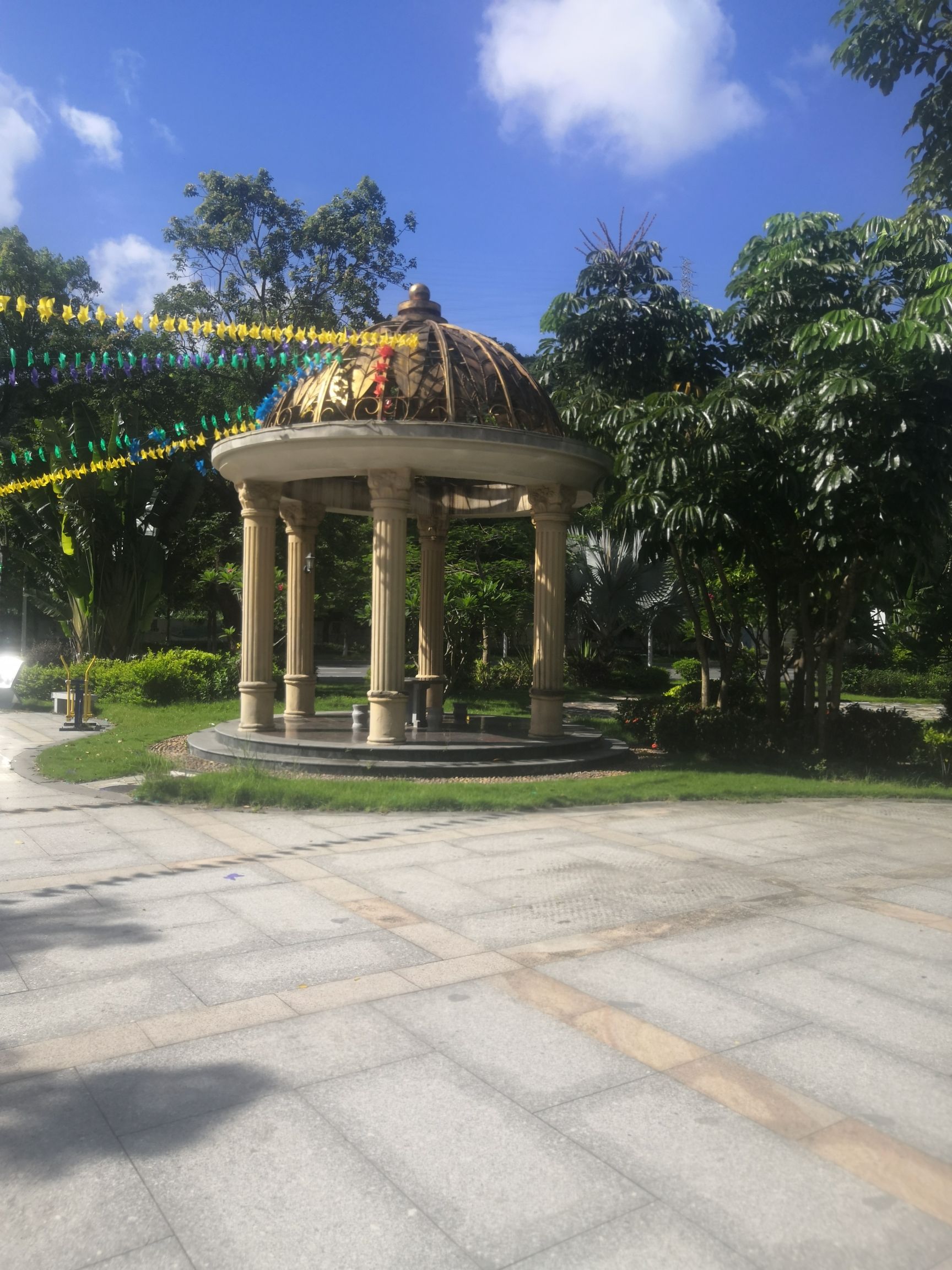 忠信文化公园旅行图片 1