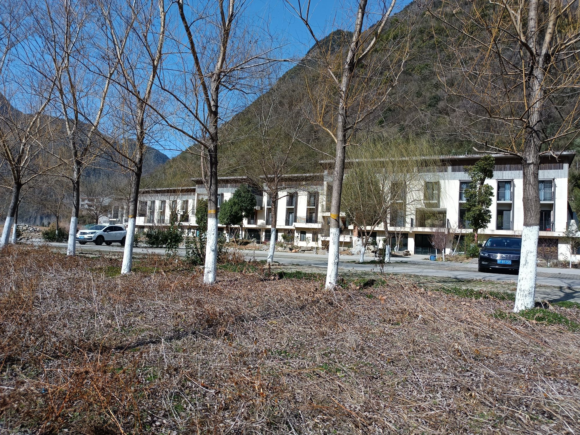 蜡梅谷旅行图片 2