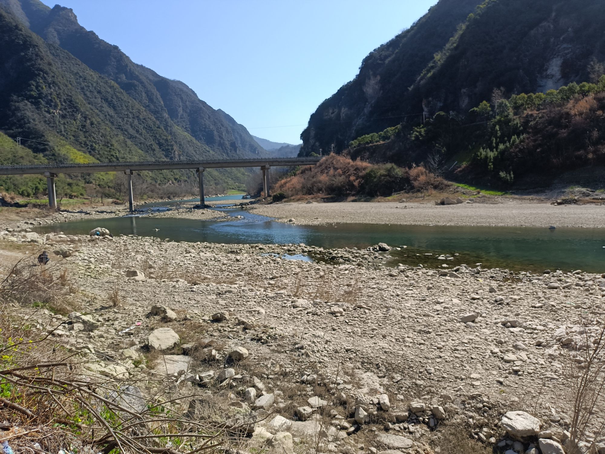 蜡梅谷旅行图片 1