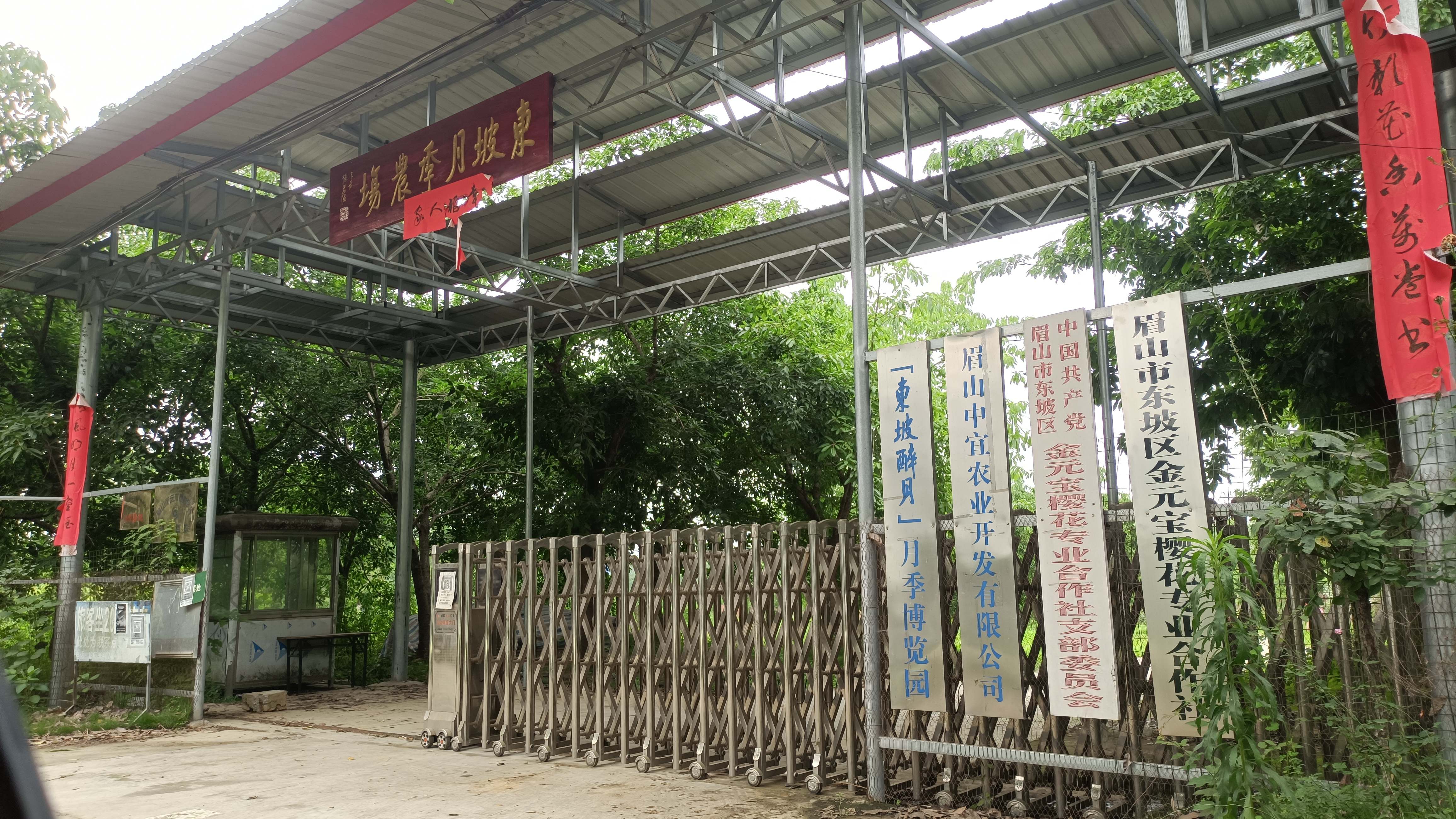 东坡醉月·月季花博览园旅行图片 1