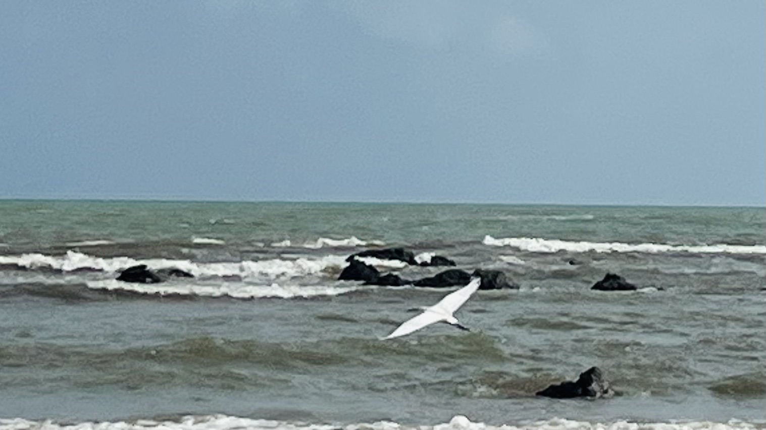 看海吃饭