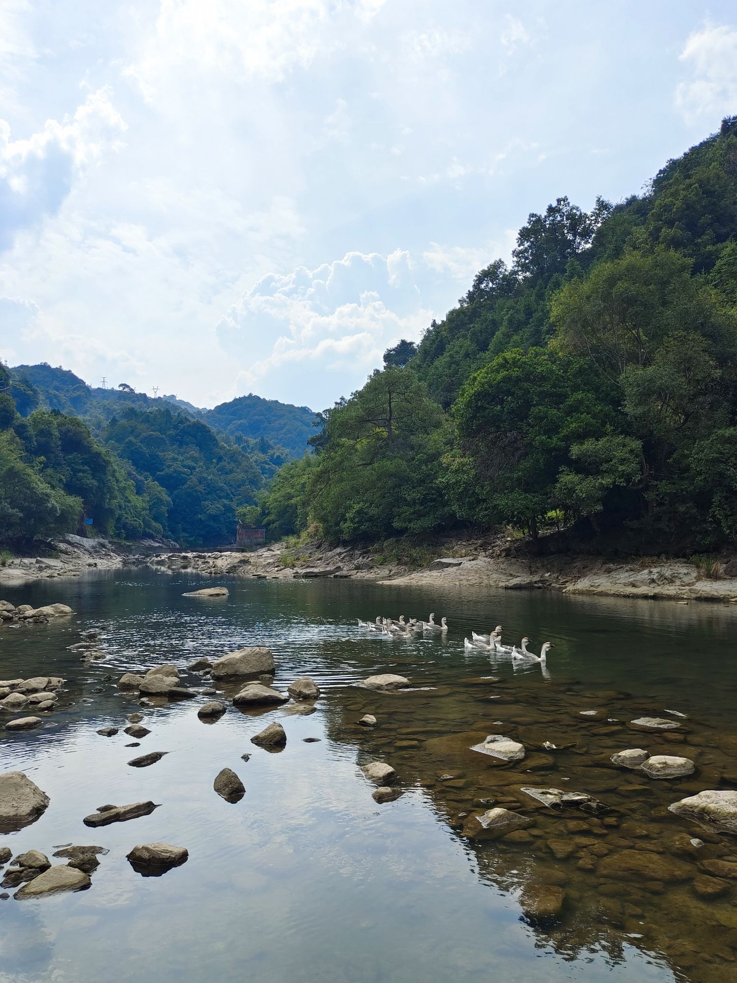 冰滘谷(暂停开放)旅行图片 1