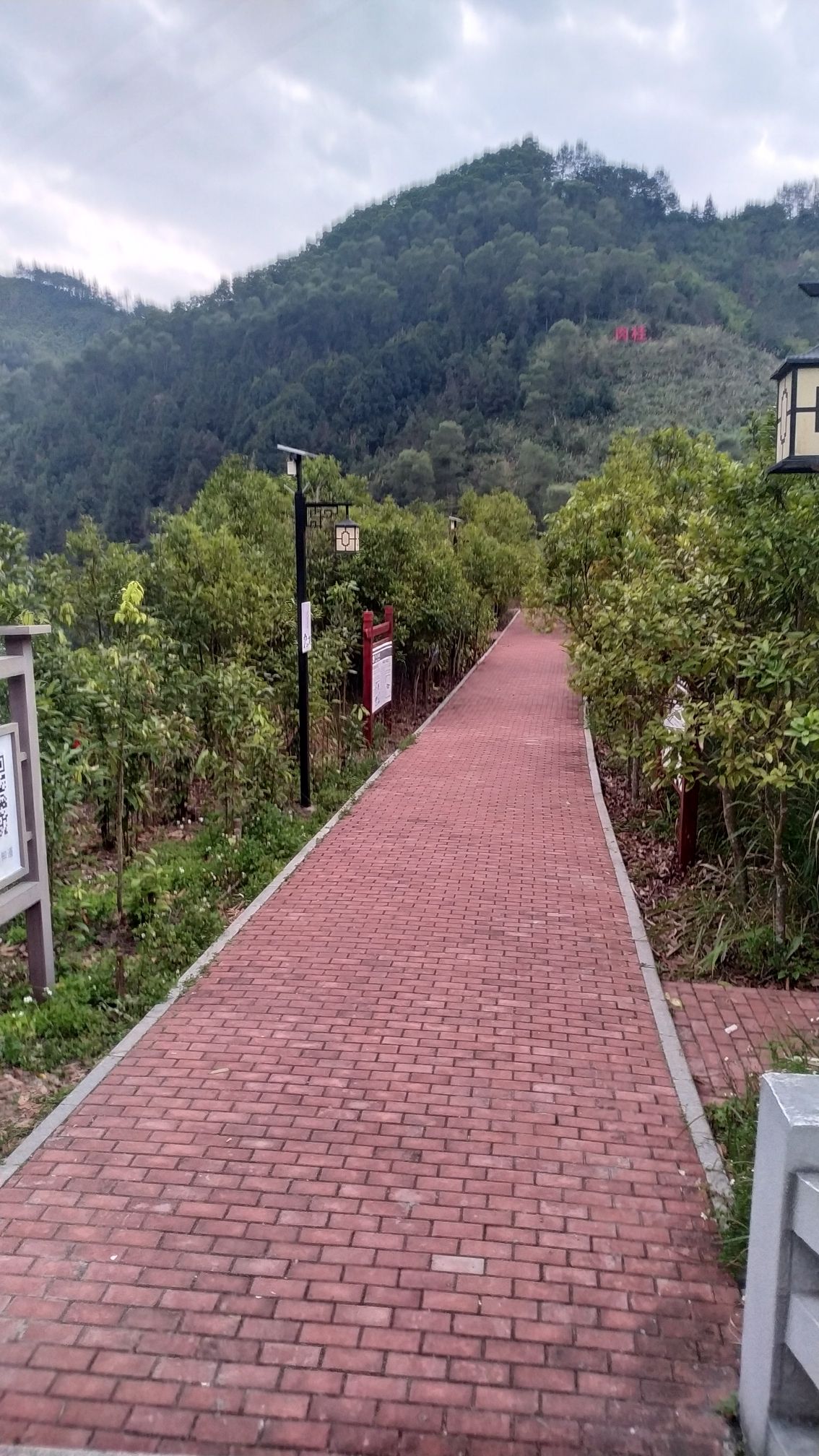 肉桂主题公园旅行图片 2