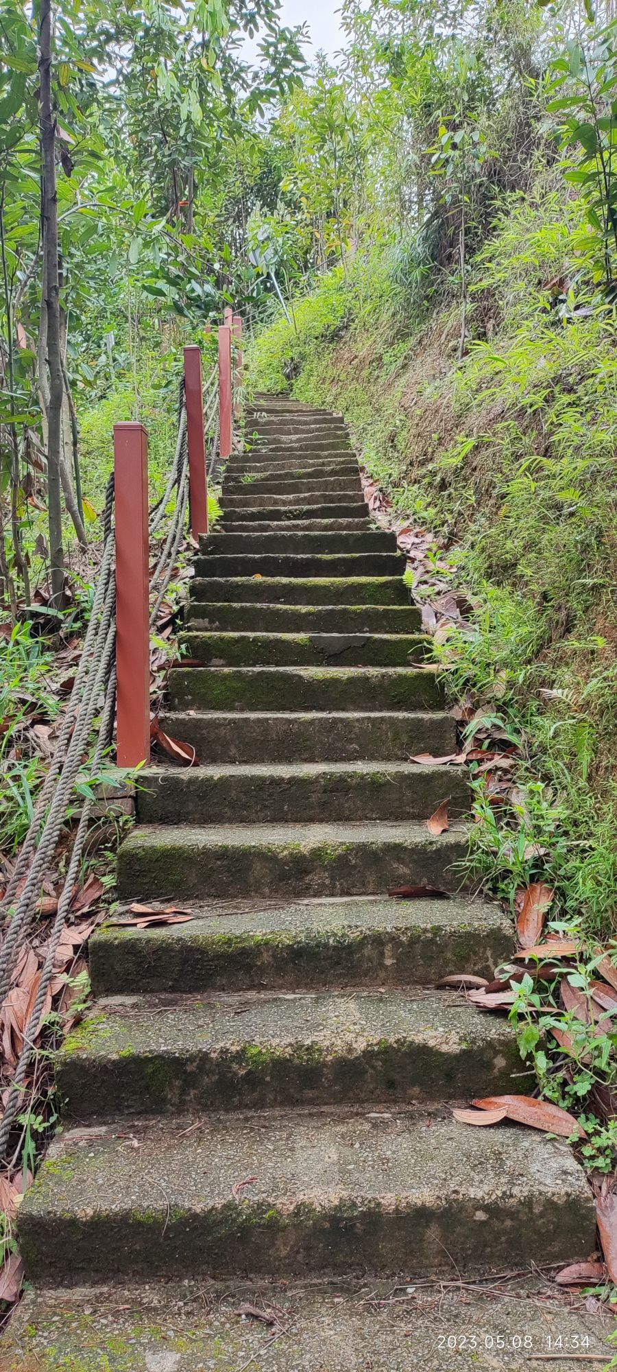 肉桂主题公园旅行图片 3