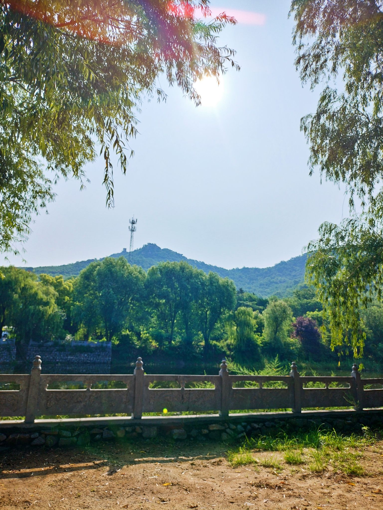 安丘五龙山国家森林公园旅行图片 3