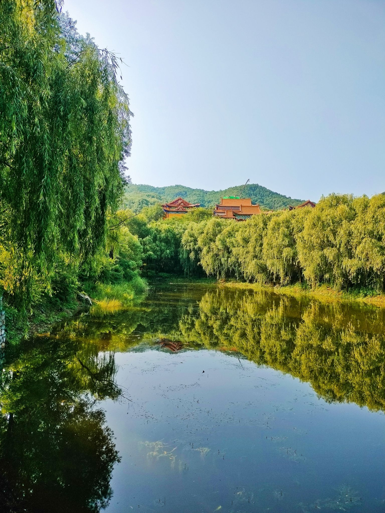 安丘五龙山国家森林公园旅行图片 2