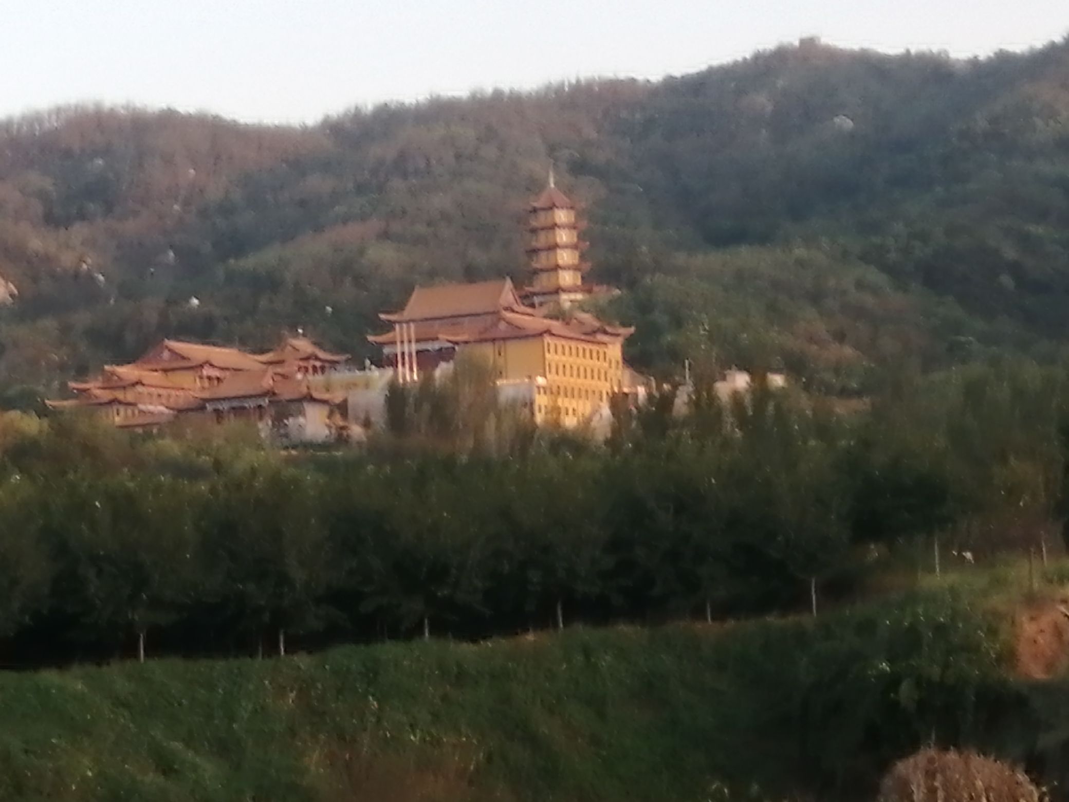 安丘五龙山国家森林公园旅行图片 2