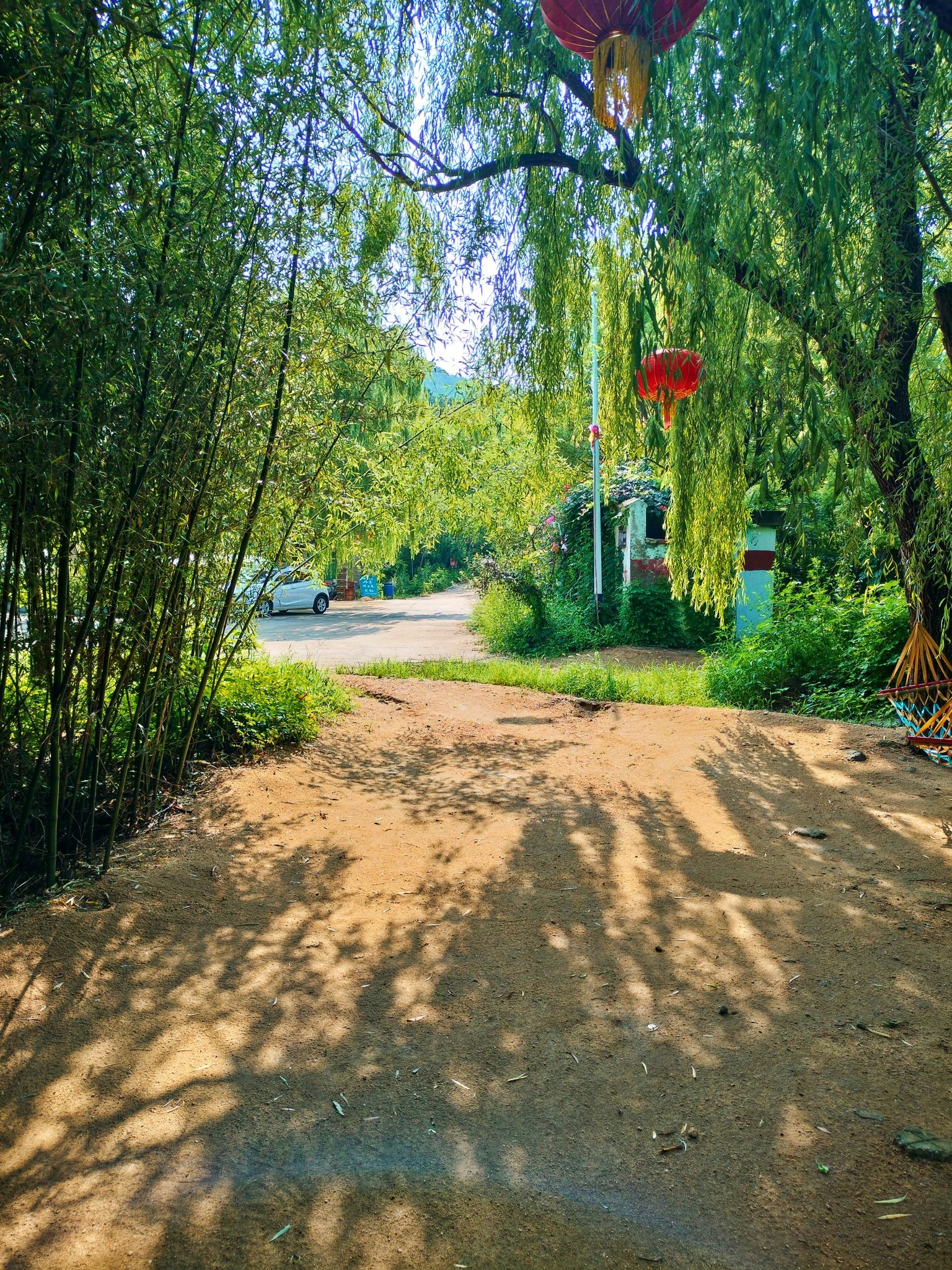 安丘五龙山国家森林公园旅行图片 1