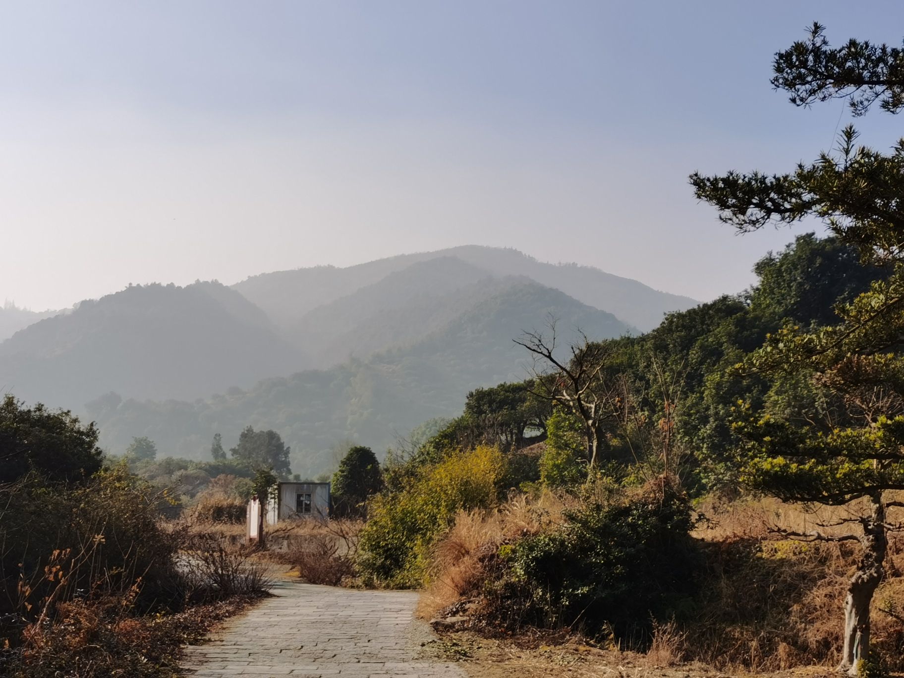 岗墩古道风景区旅行图片 1