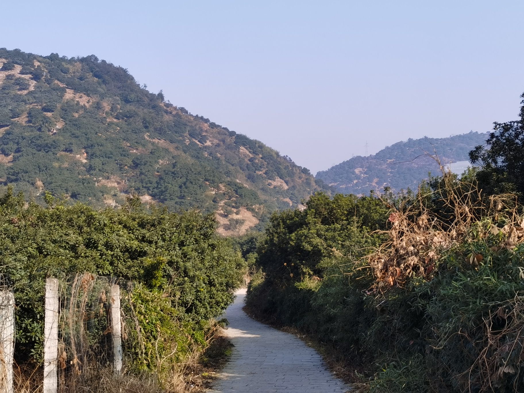 岗墩古道风景区旅行图片 2