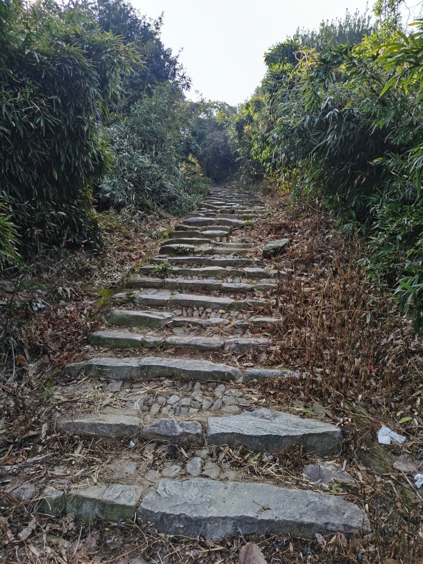 岗墩古道风景区旅行图片 3