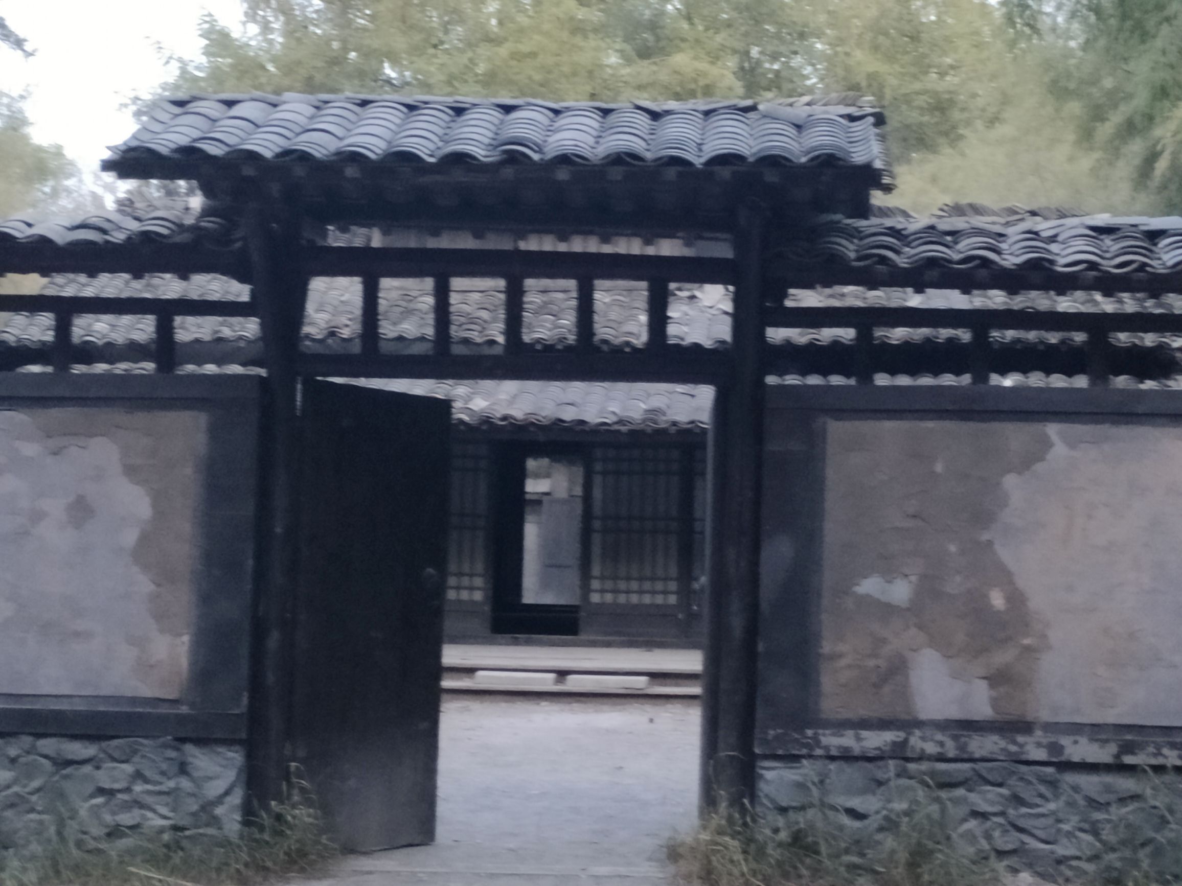 小竹林风景区旅行图片 1